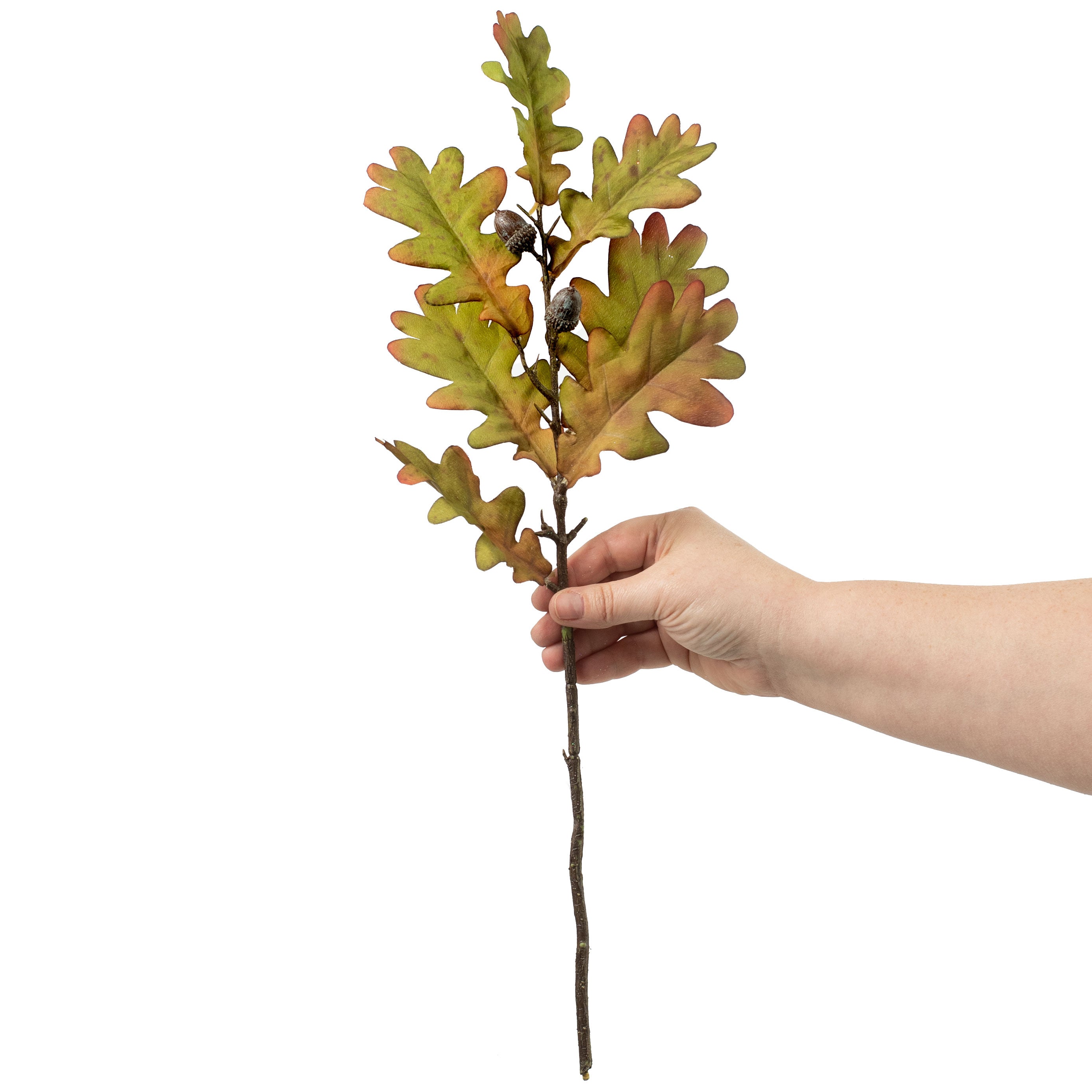25" Oak Leaves With Acorn Spray: Green & Brown detail photo 3