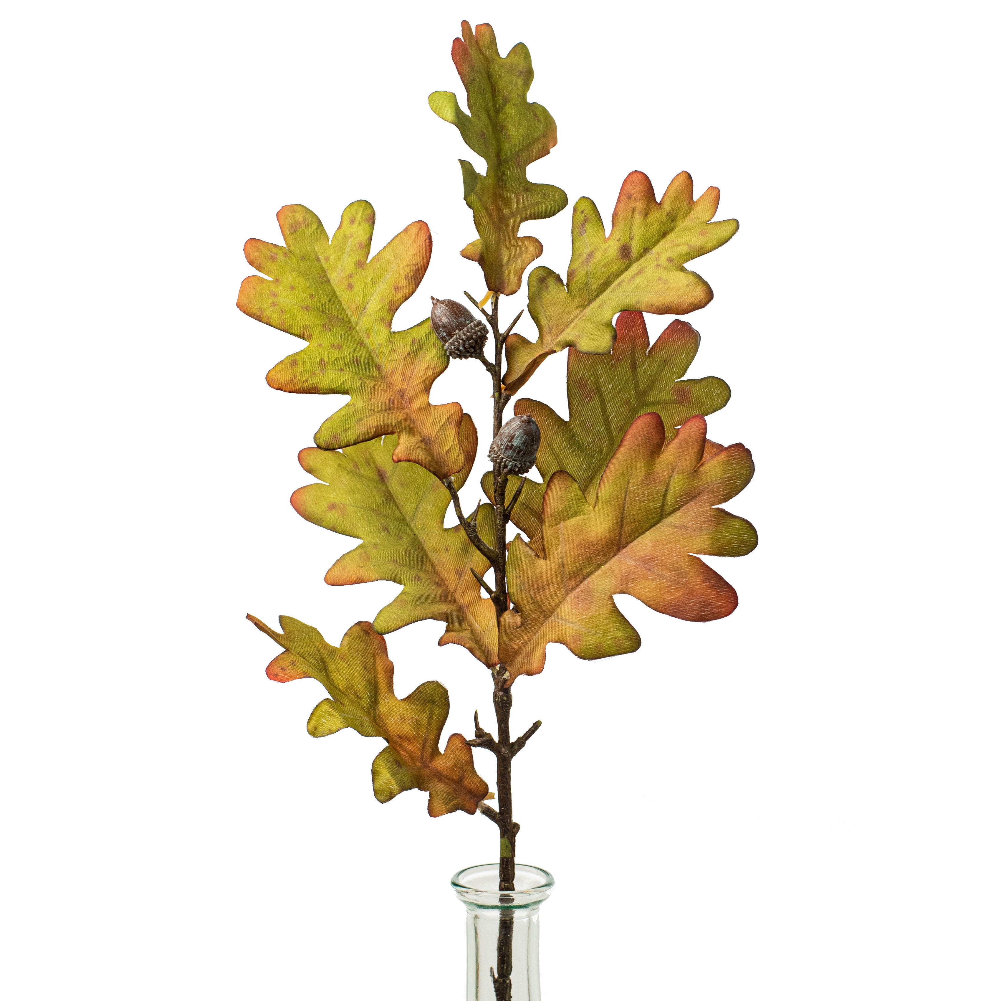 25" Oak Leaves With Acorn Spray: Green & Brown Item Number: 2751058GR