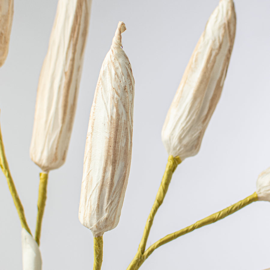 28" Okra Spray: White Natural Lifestyle Photo