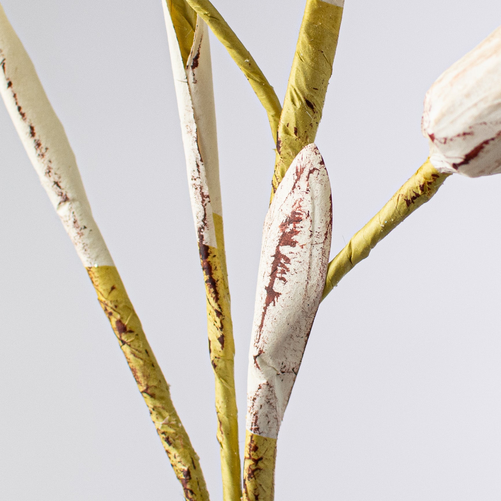 28" Okra Spray: White Natural detail photo 4