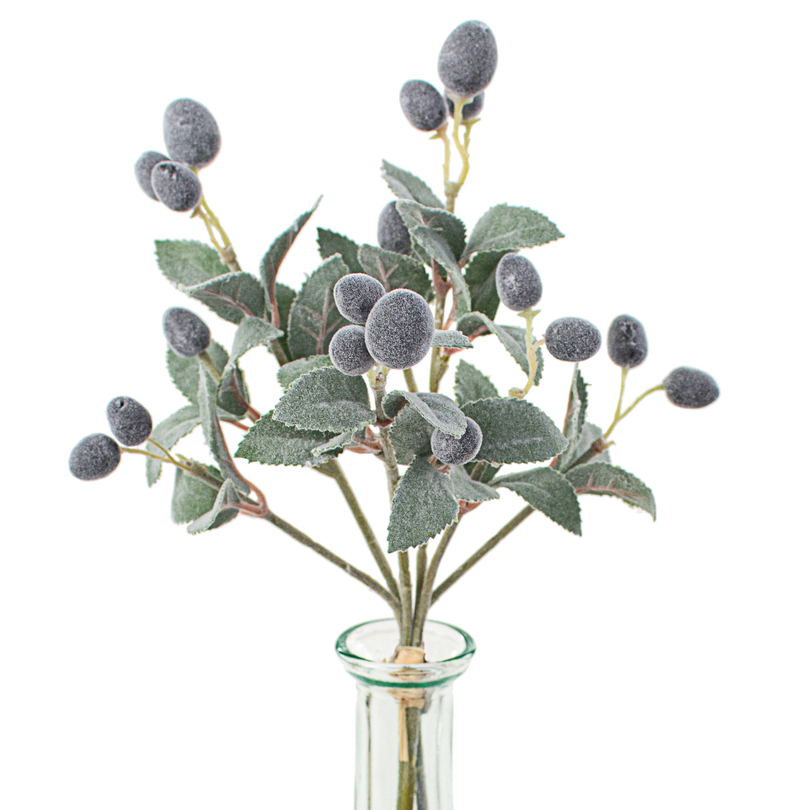 10" Olive Stem Bundle Item Number: 119289