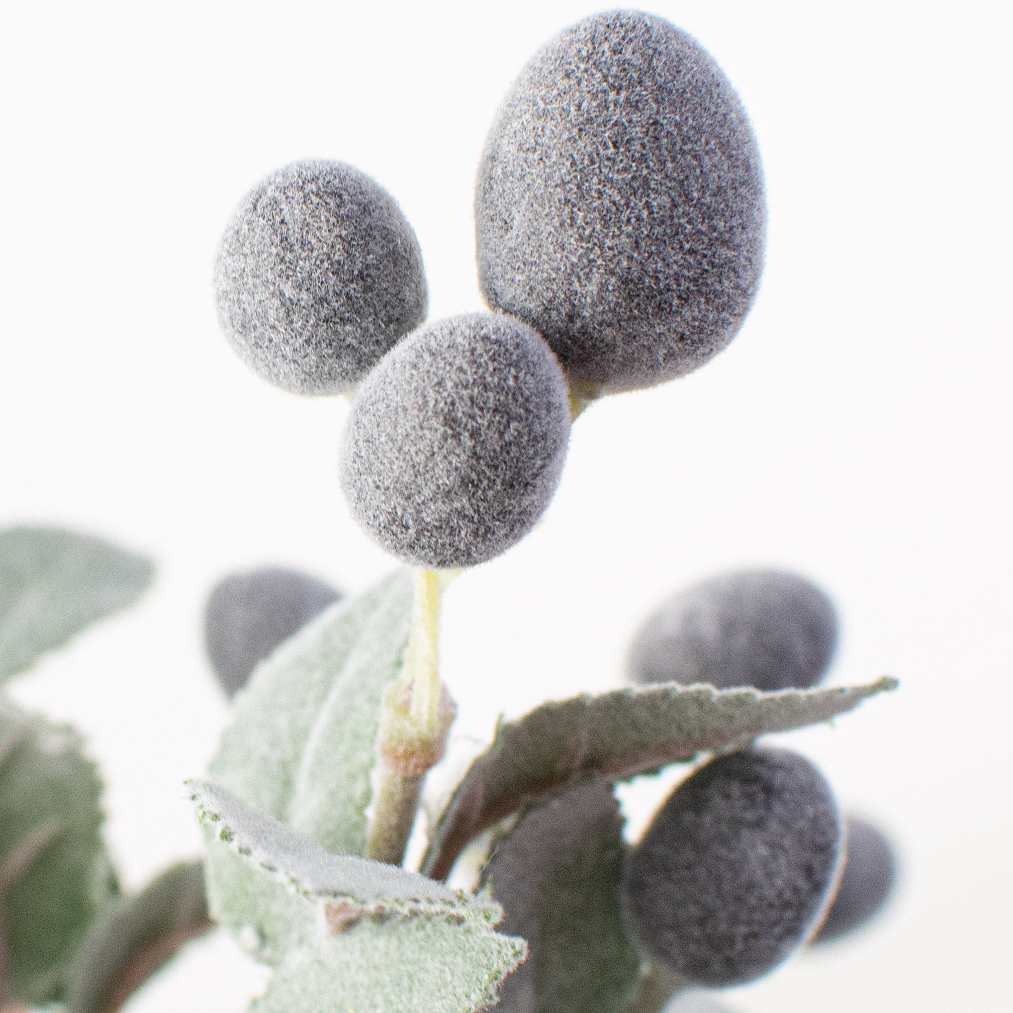 10" Olive Stem Bundle Lifestyle Photo