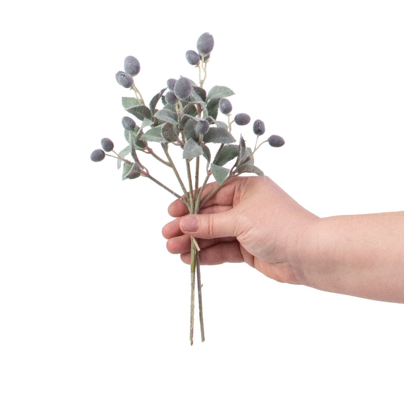 10" Olive Stem Bundle detail photo 4