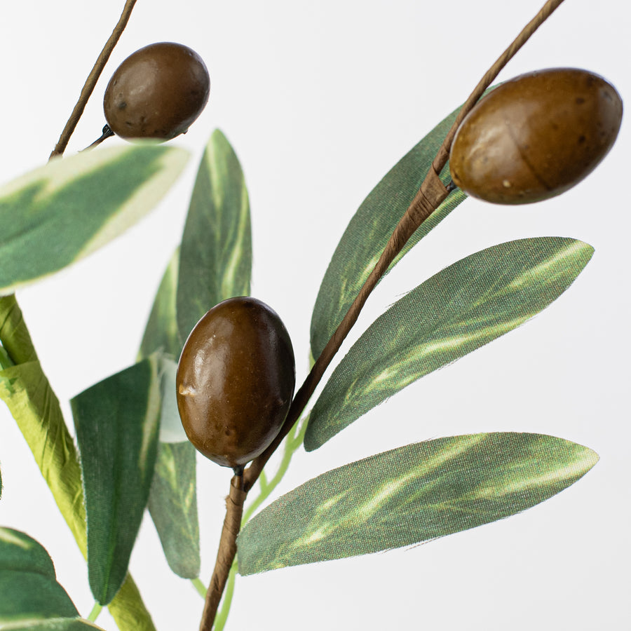 20" Olive Pick Lifestyle Photo