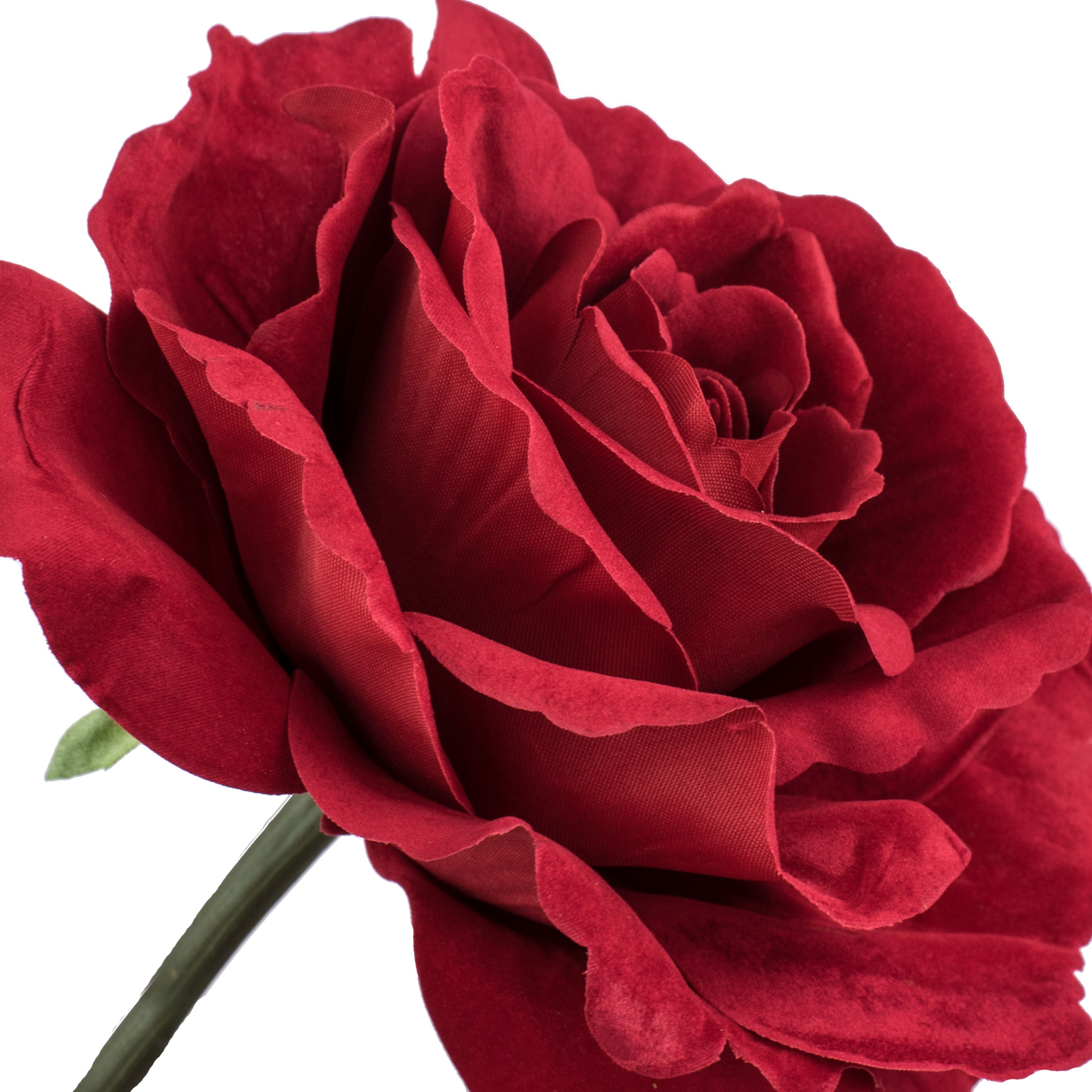 26" Open Red Velvet Rose detail photo 3