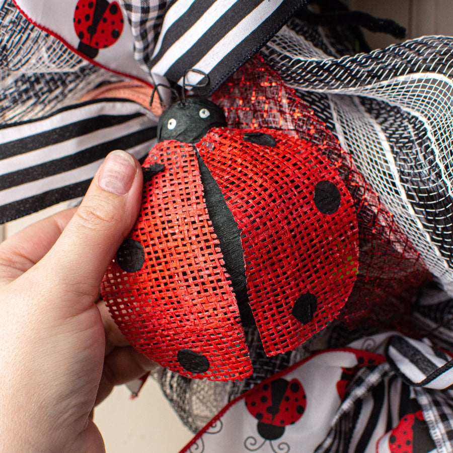 Open Wing Ladybug Pick Lifestyle Photo