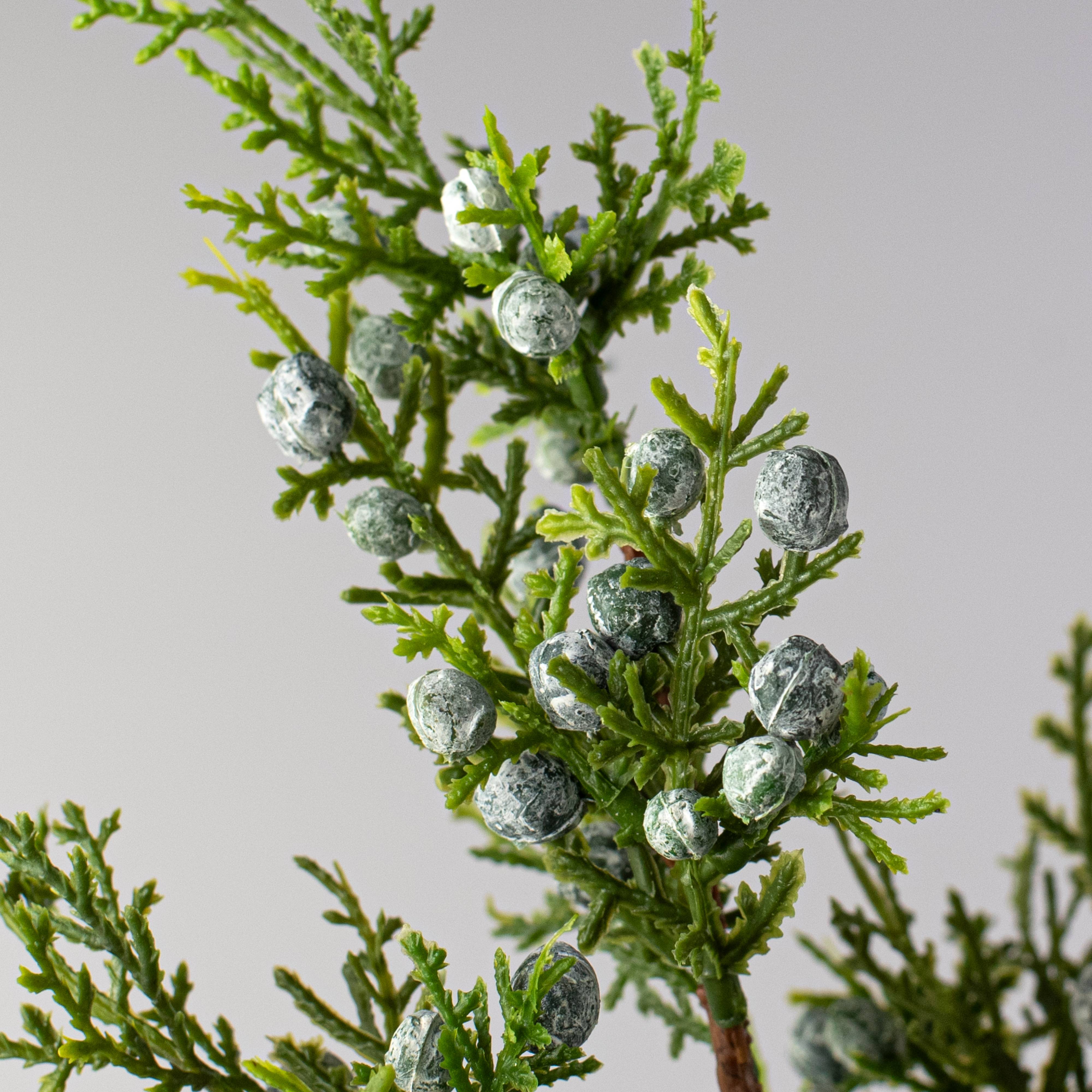 20" Oregon Juniper Spray: Two-Tone Green Lifestyle Photo