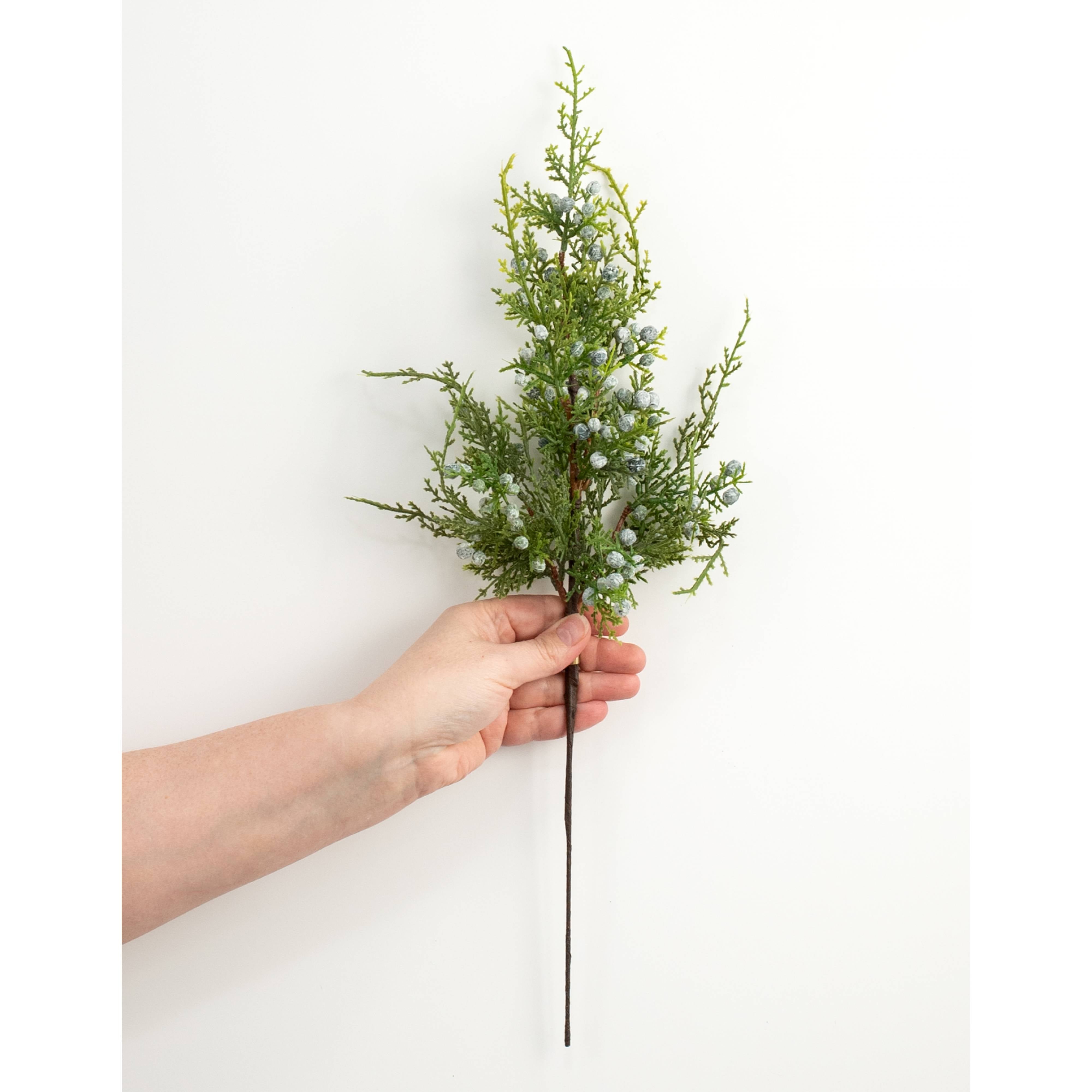 20" Oregon Juniper Spray: Two-Tone Green detail photo 3