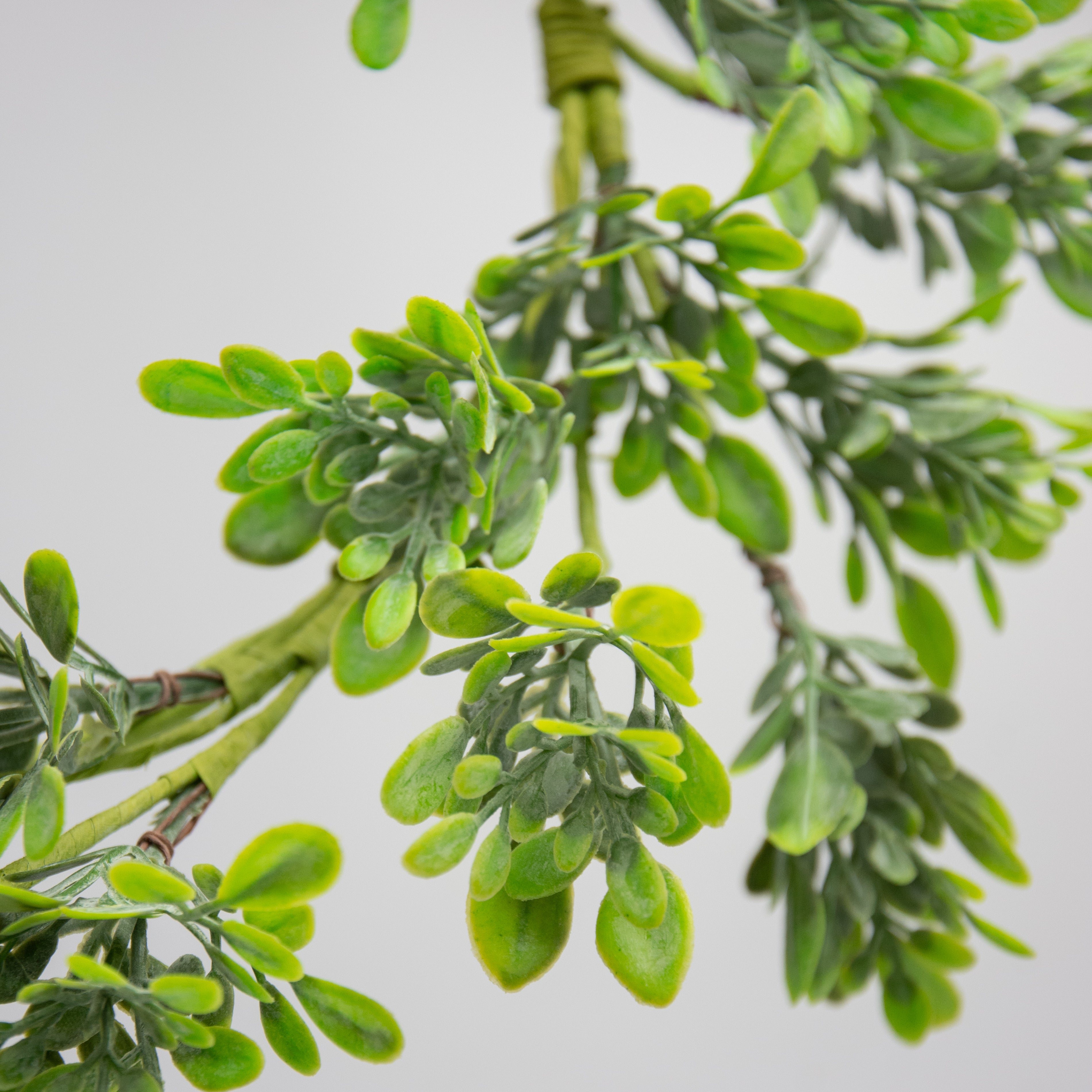 4' Oregonia Greenery Leaves Garland detail photo 3