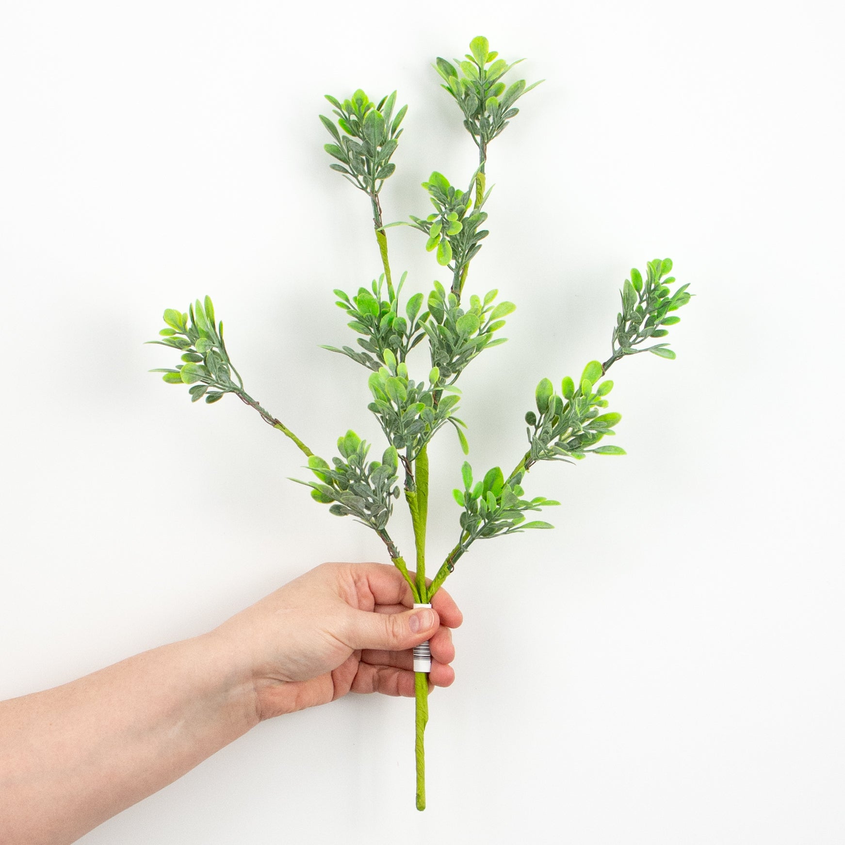 18" Oregonia Greenery Leaves Pick detail photo 3