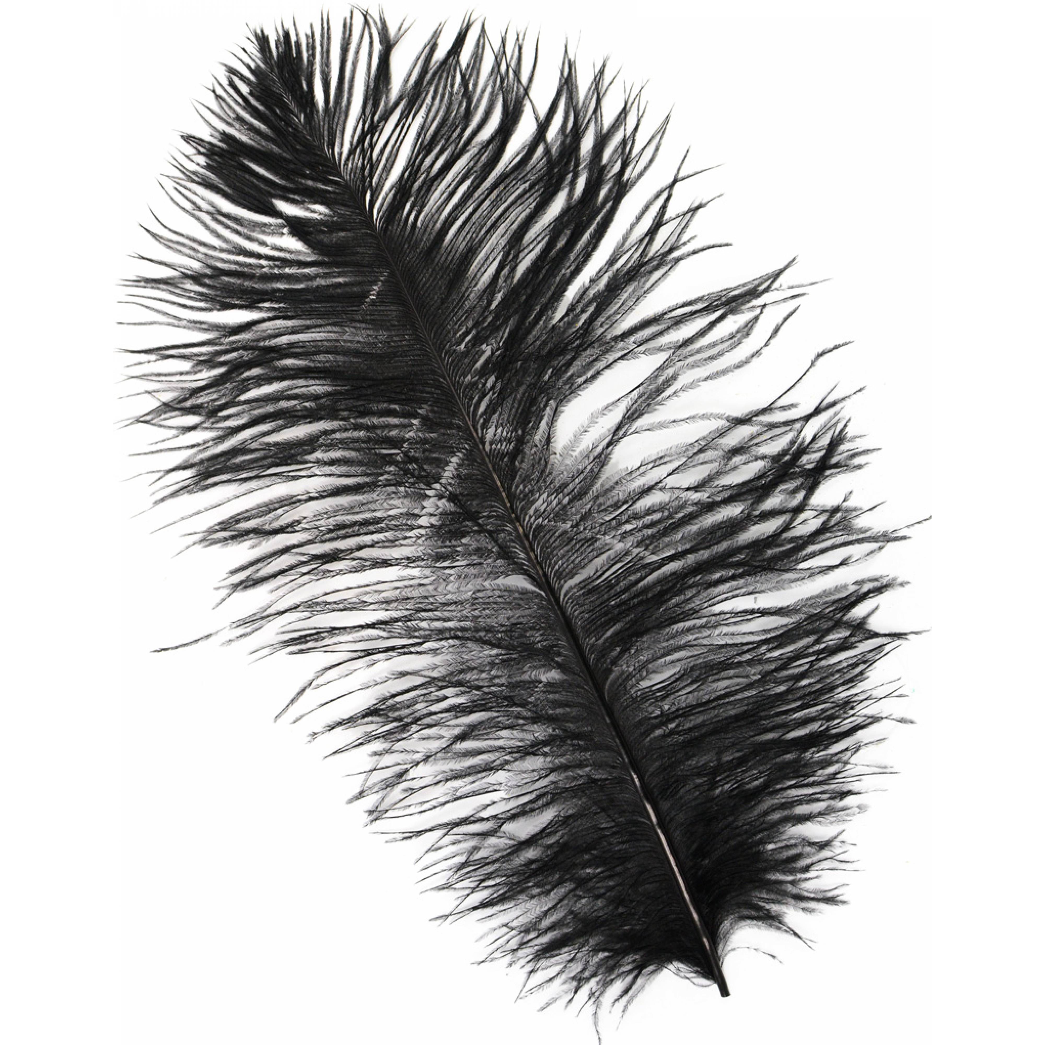 15" Ostrich Feather: Black Item Number: 7148-BLACK
