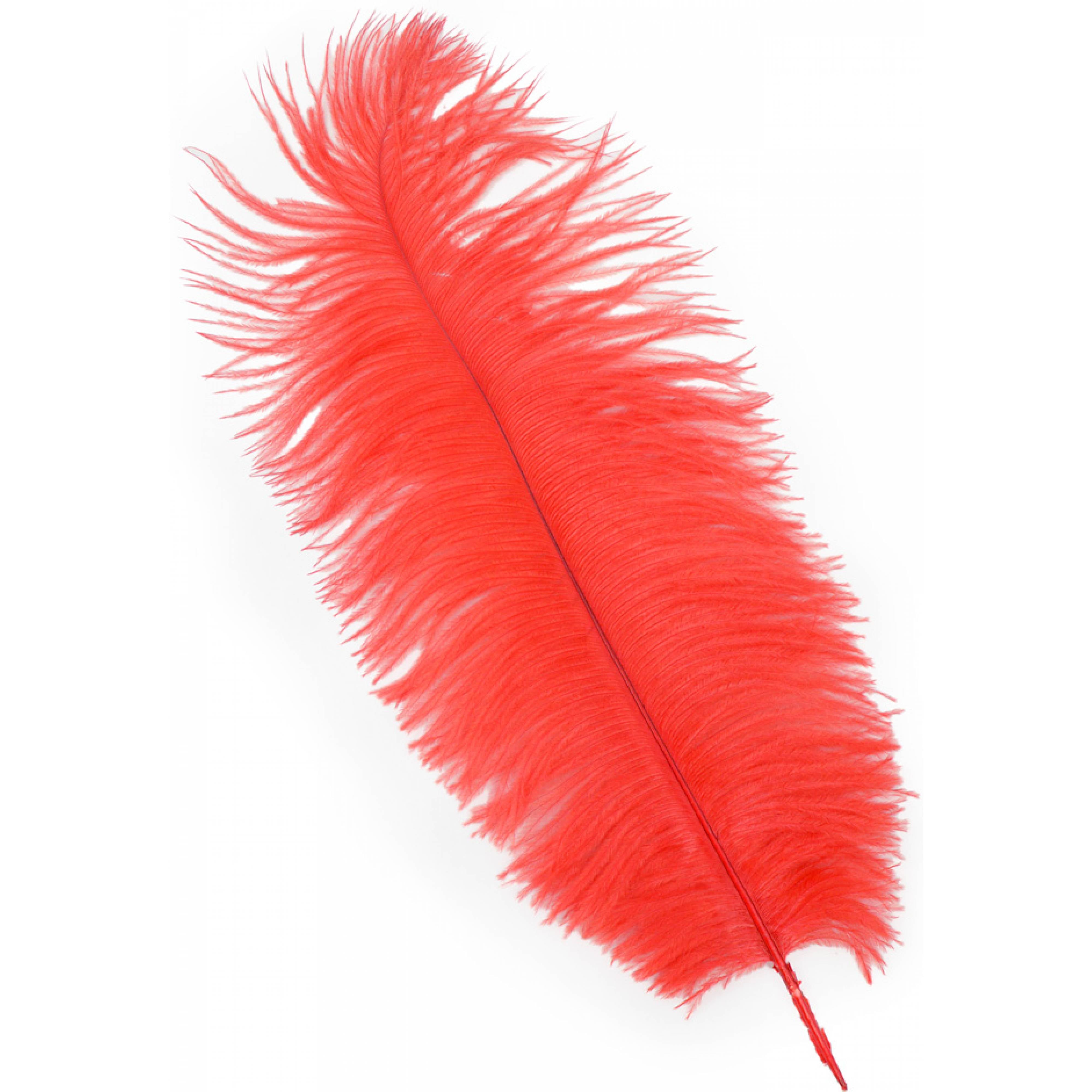 15" Ostrich Feather: Red Item Number: 7148-RED
