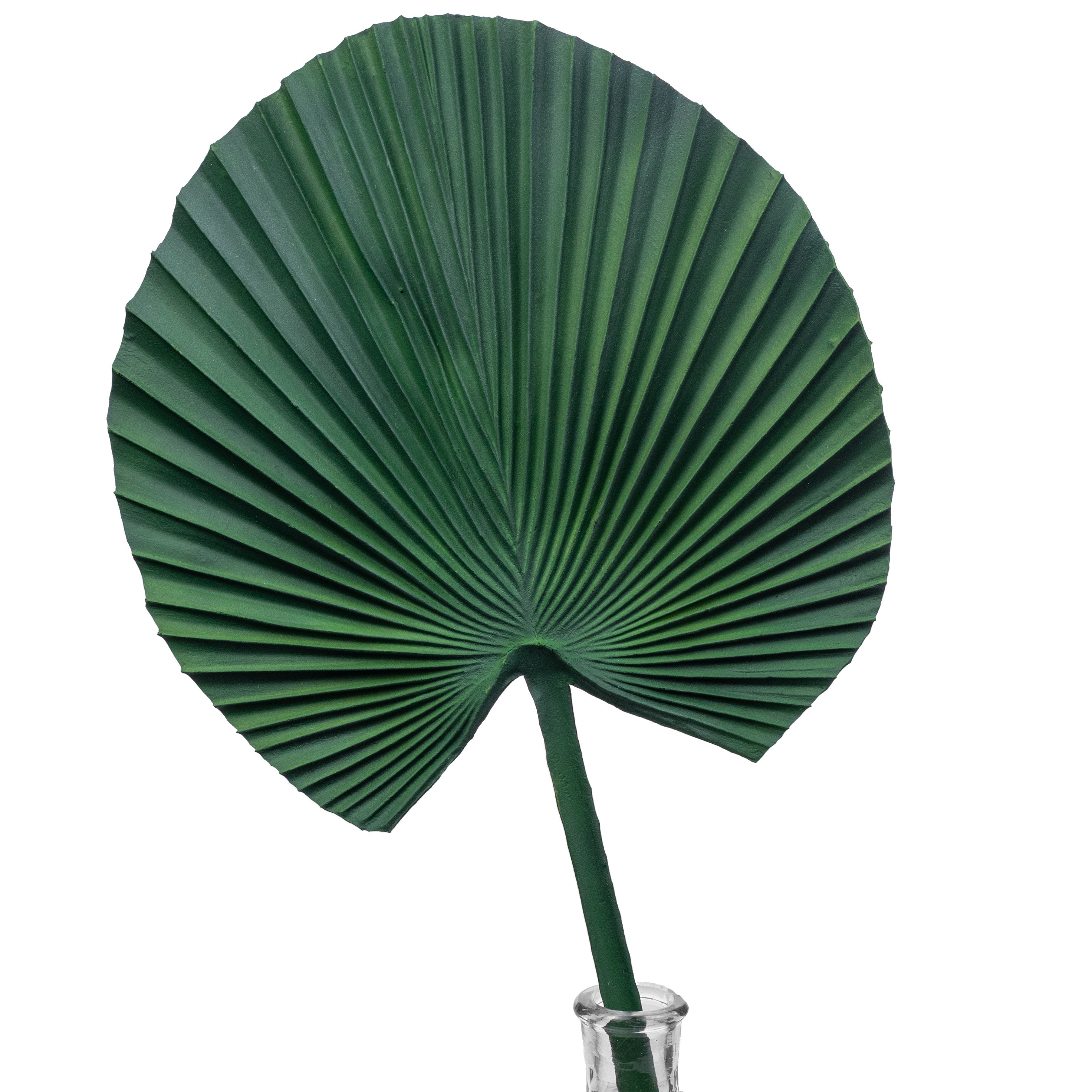 25" Palm Leaf Stem Item Number: 13446GN