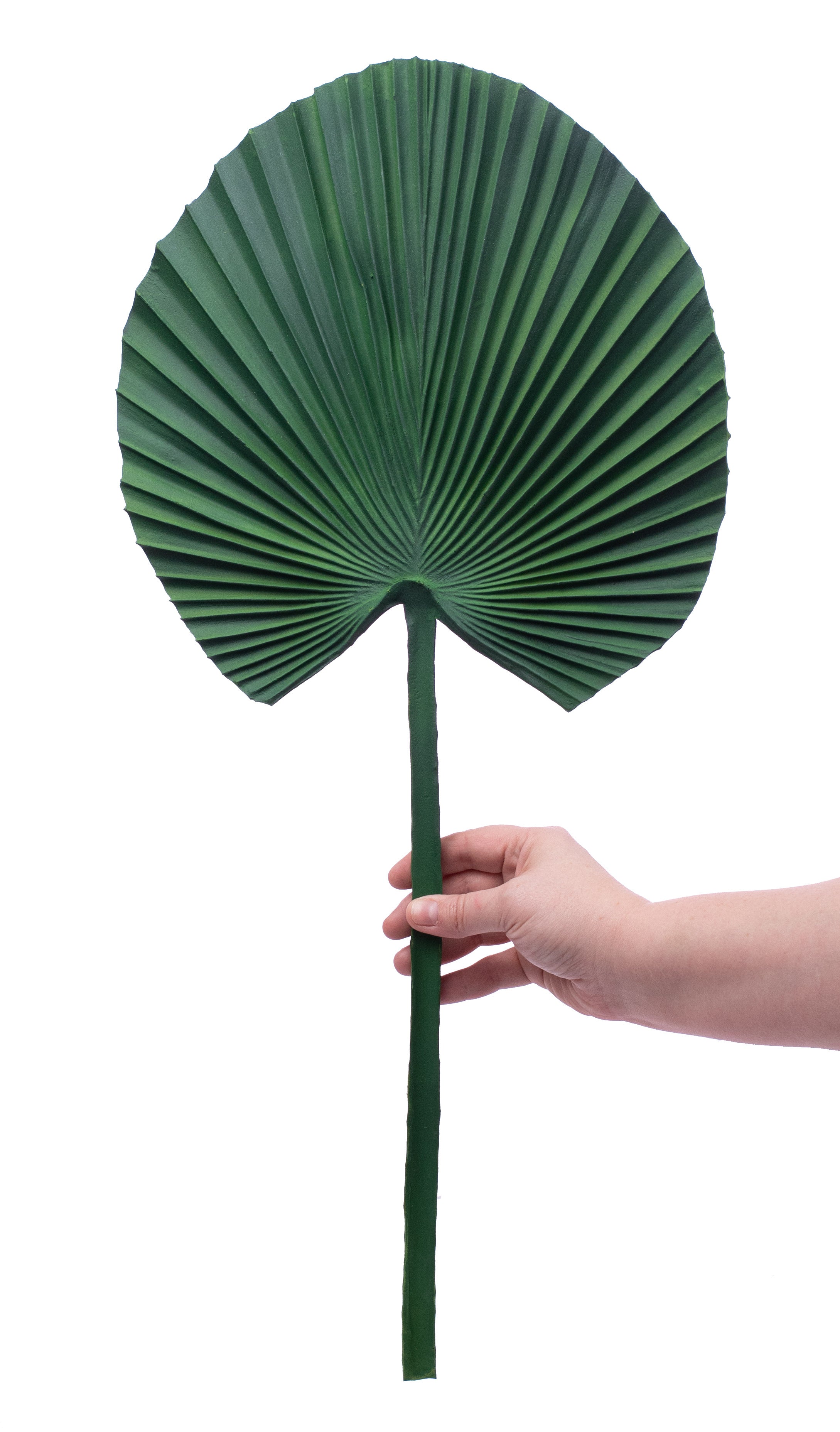 25" Palm Leaf Stem Lifestyle Photo