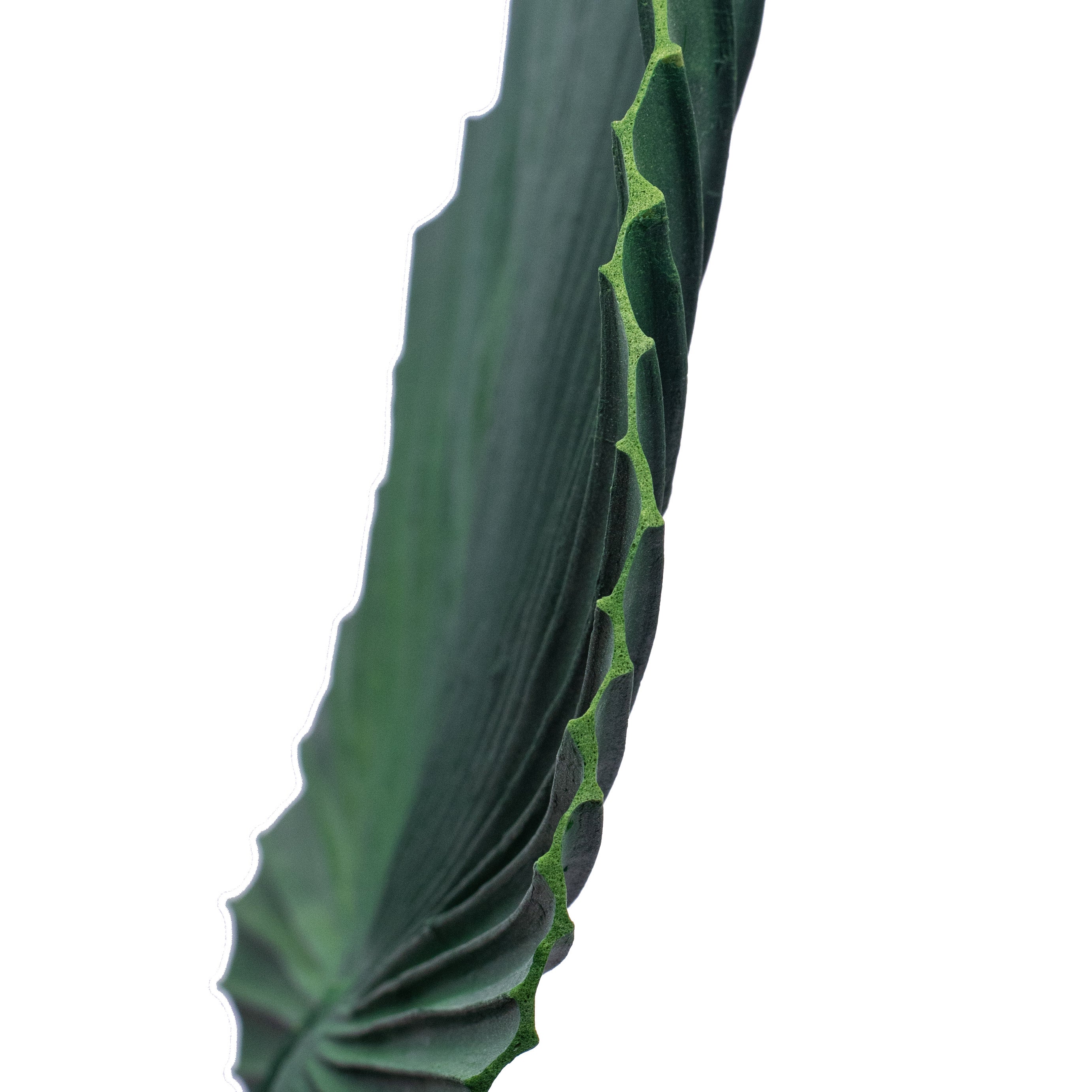 25" Palm Leaf Stem detail photo 3