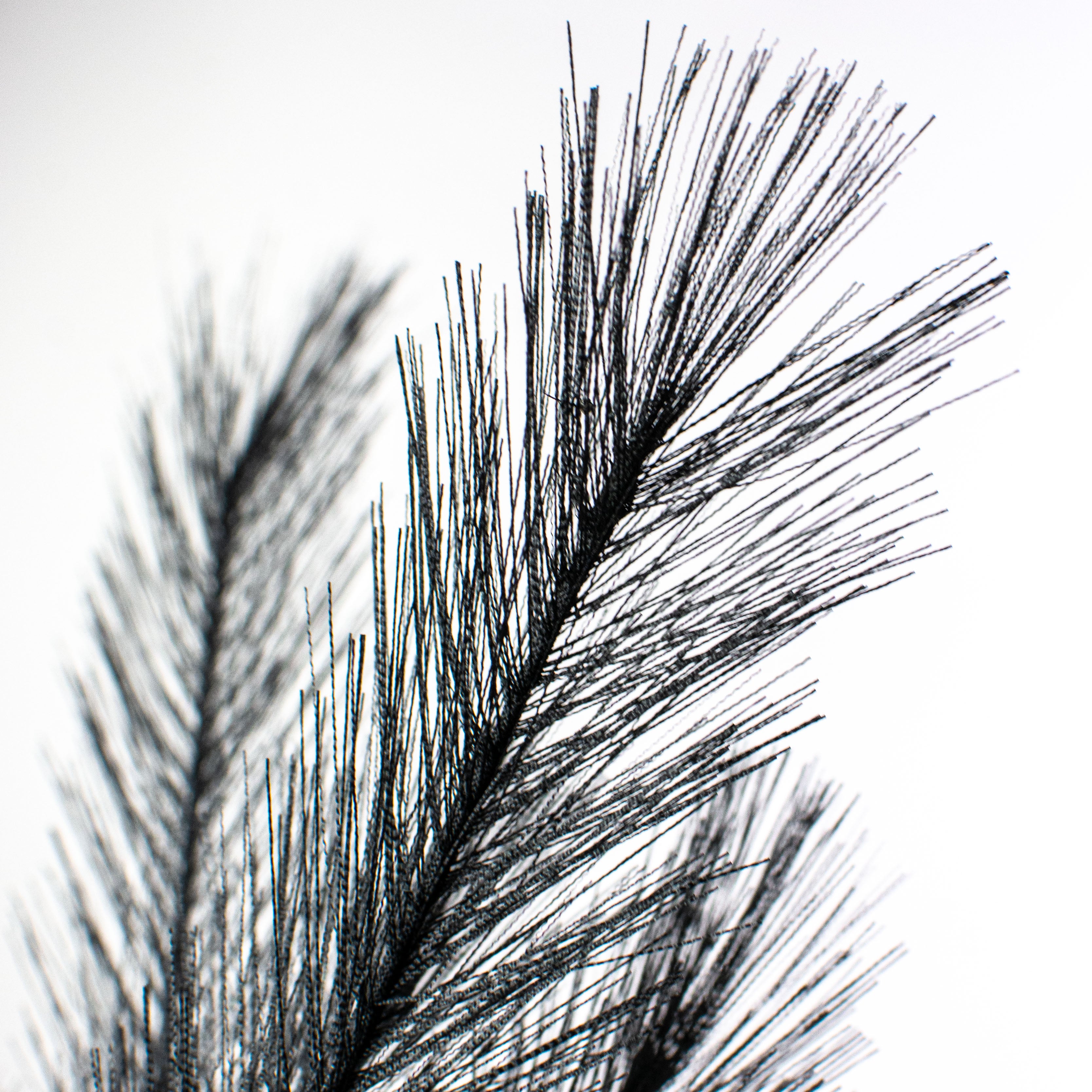 30" Pampas Grass Branch: Black Lifestyle Photo