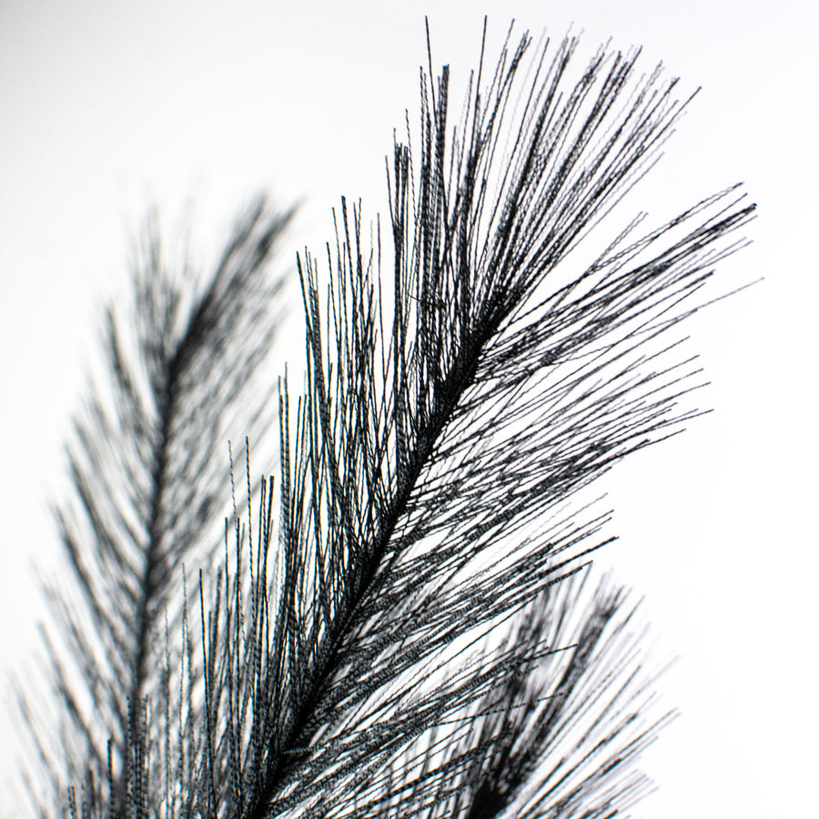 30" Pampas Grass Branch: Black Lifestyle Photo