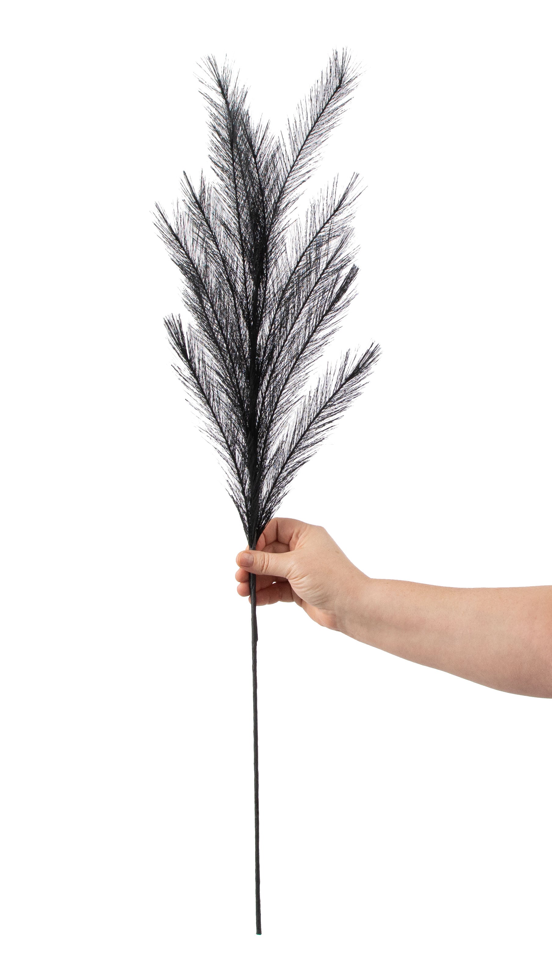 30" Pampas Grass Branch: Black detail photo 3