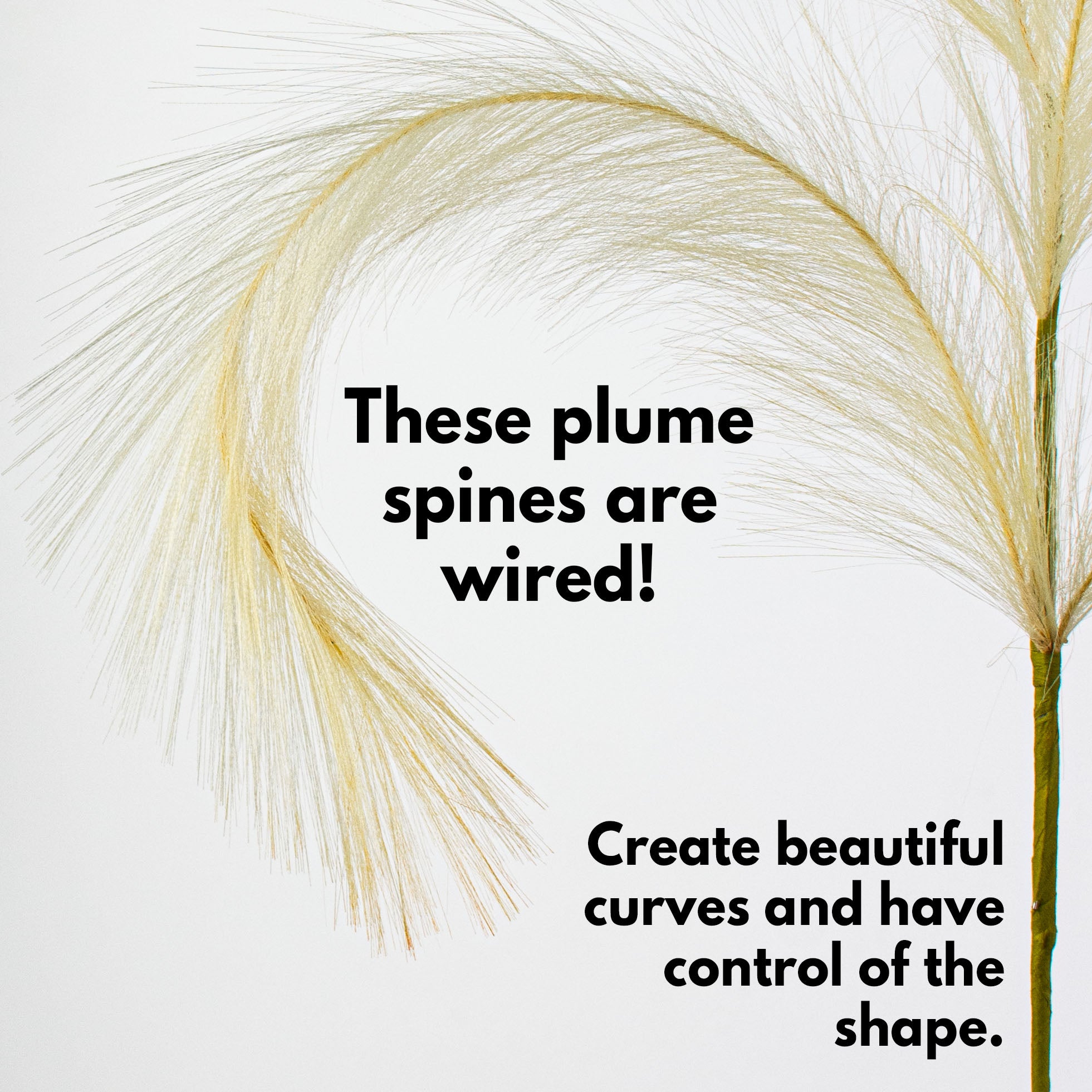 42" Pampas Grass Branch: Ivory Lifestyle Photo