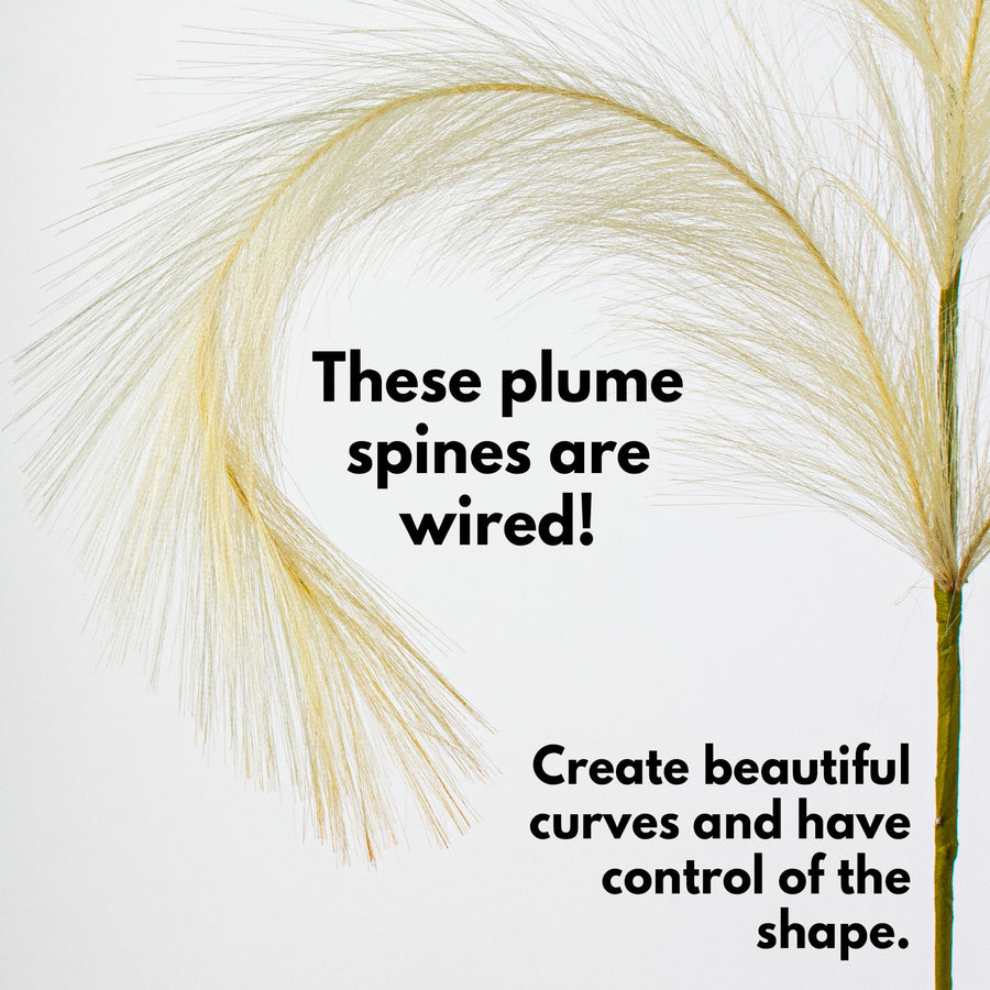 42" Pampas Grass Branch: Ivory Lifestyle Photo