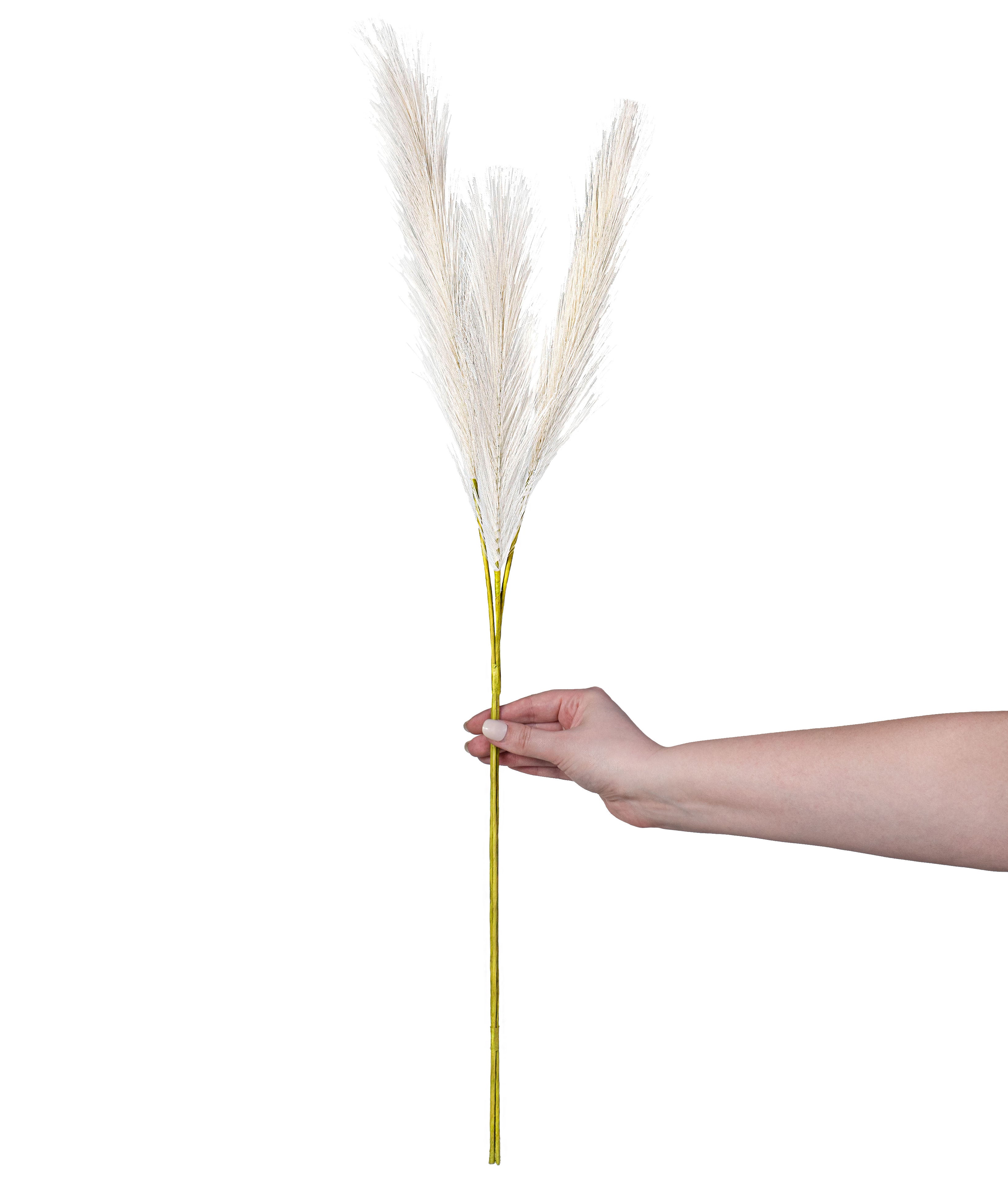 30" Pampas Grass Bundle: Cream detail photo 3