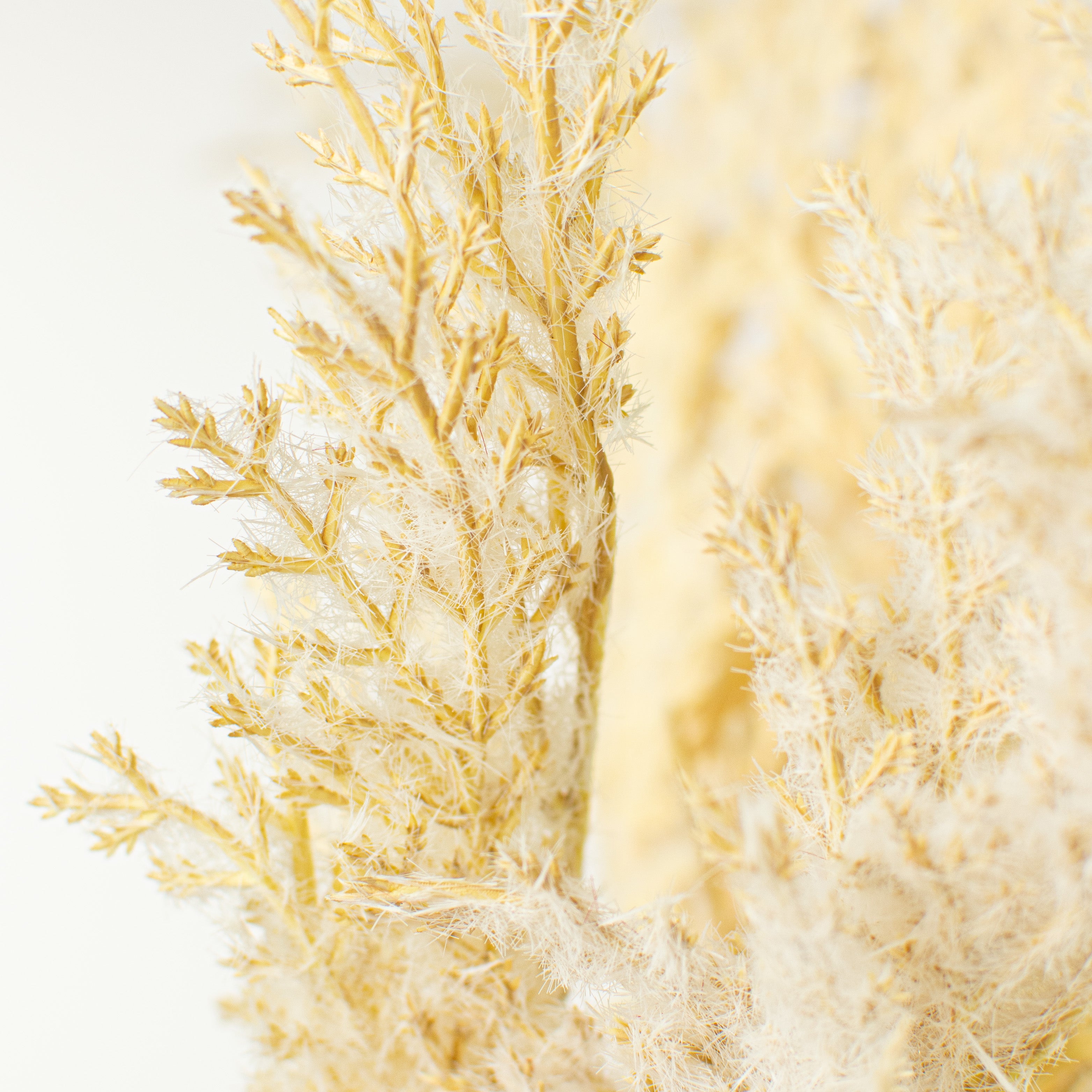 26" Pampas Grass Plume Open Wreath: Beige detail photo 4