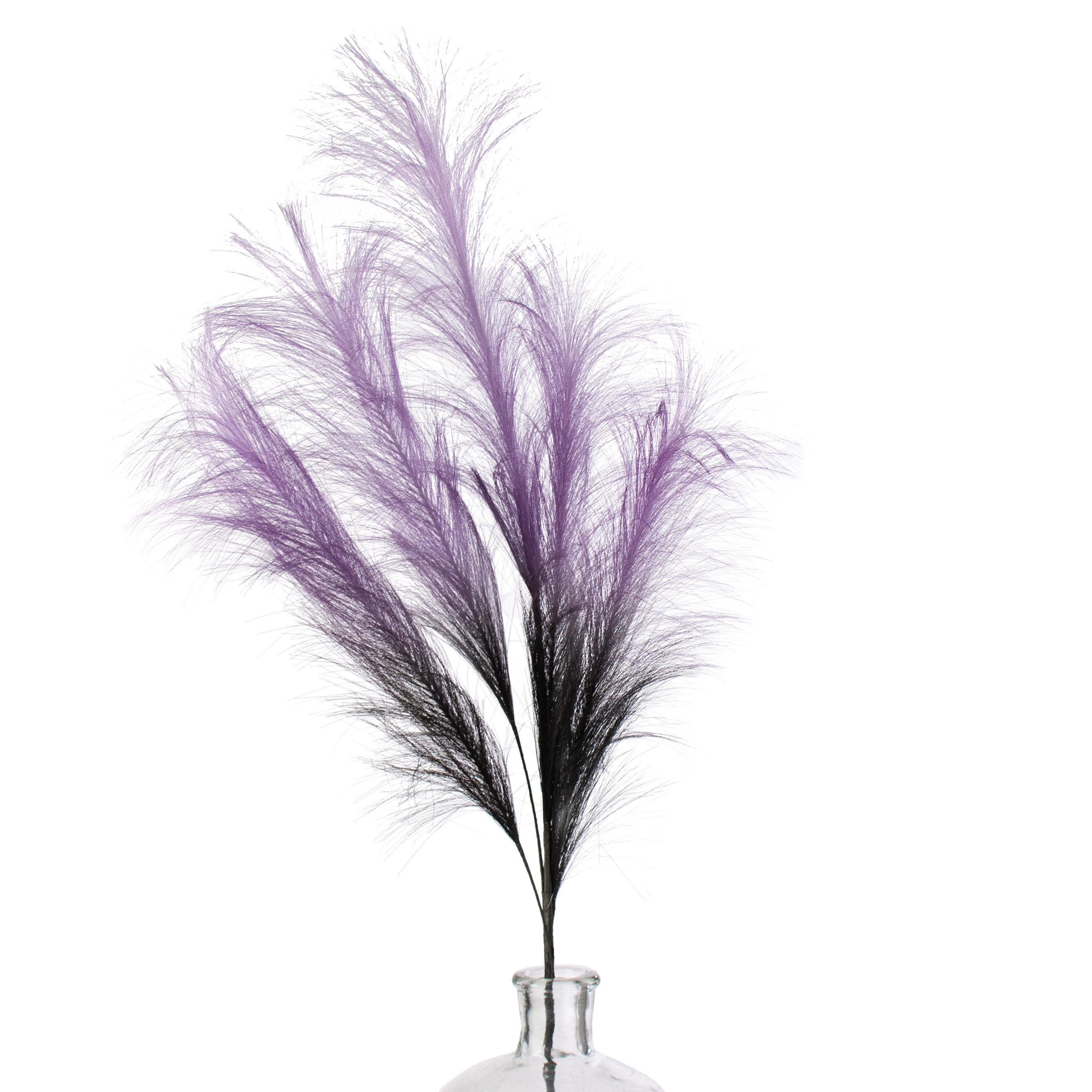 30" Pampas Grass Spray: Purple & Black Item Number: 56969PUBK