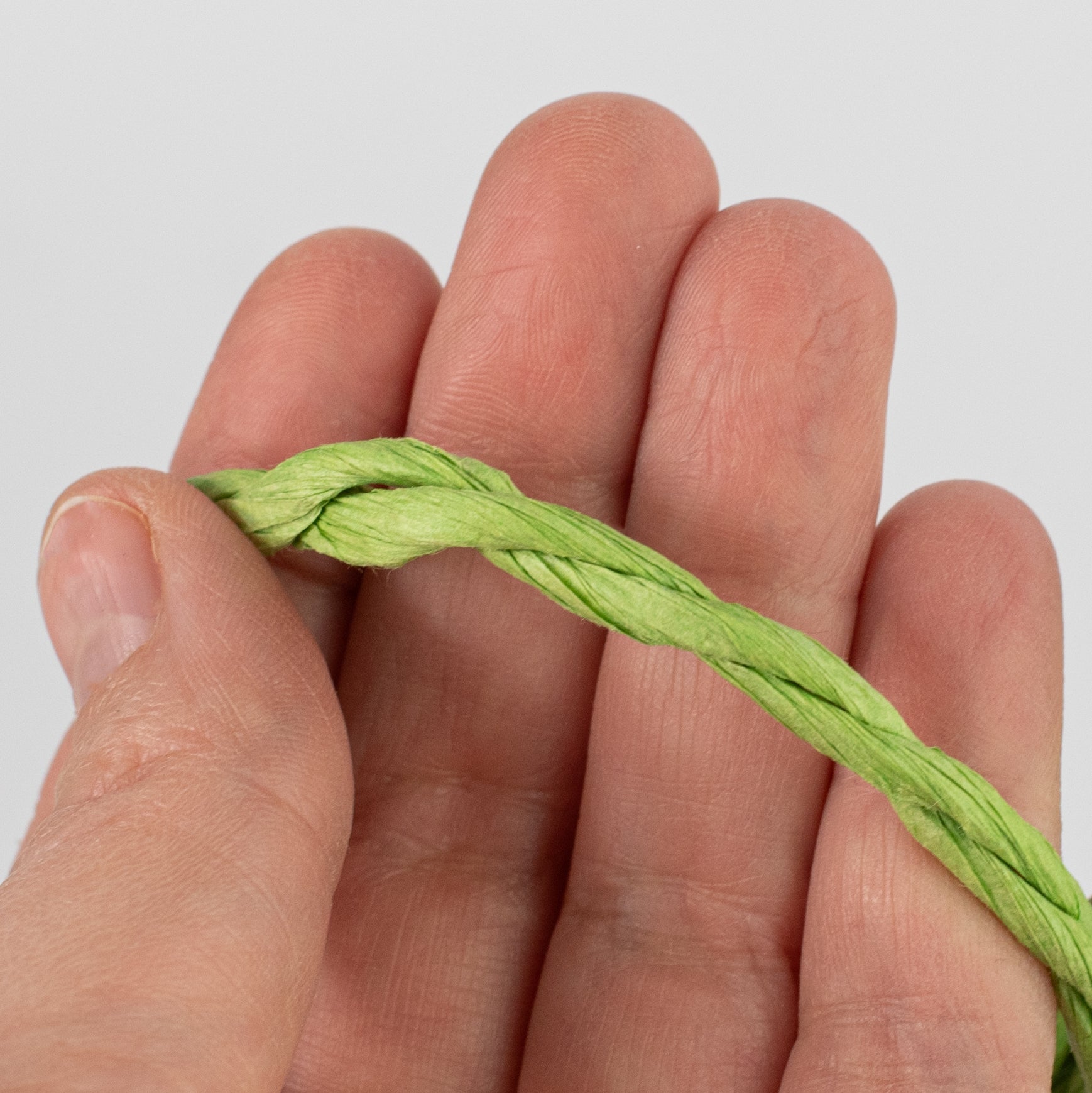 16' Paper Rope Bundle: Fresh Green Lifestyle Photo