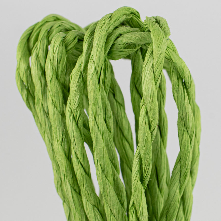 16' Paper Rope Bundle: Fresh Green detail photo 3