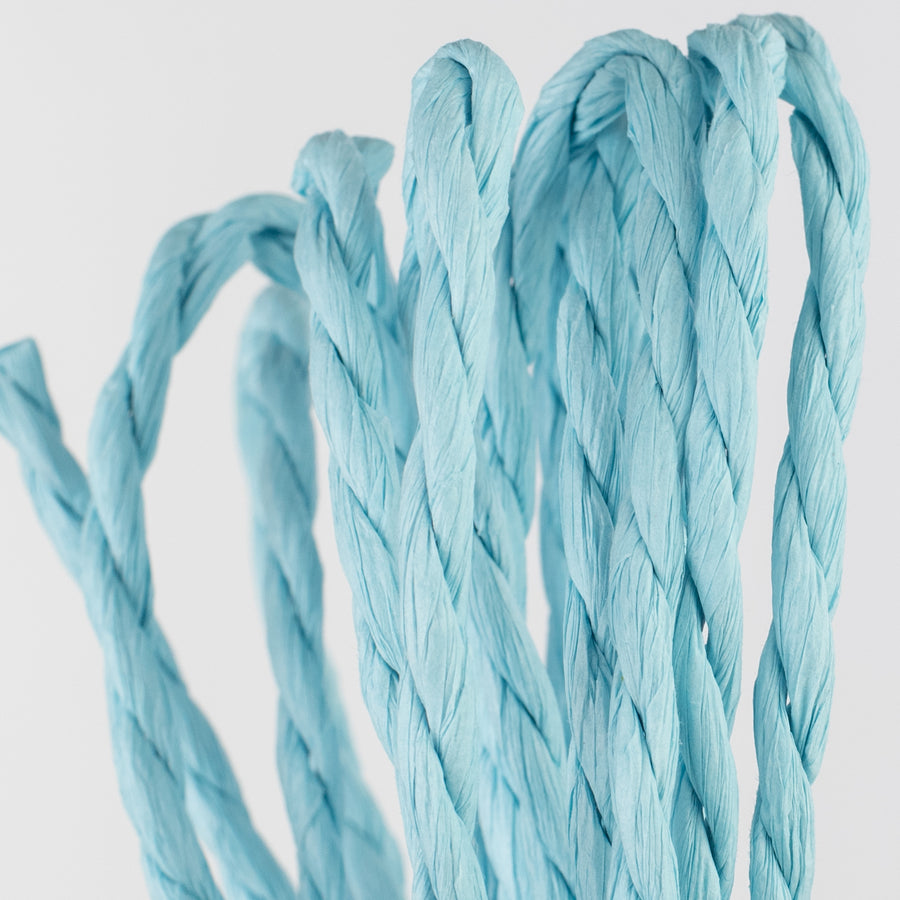 16' Paper Rope Bundle: Light Blue detail photo 3