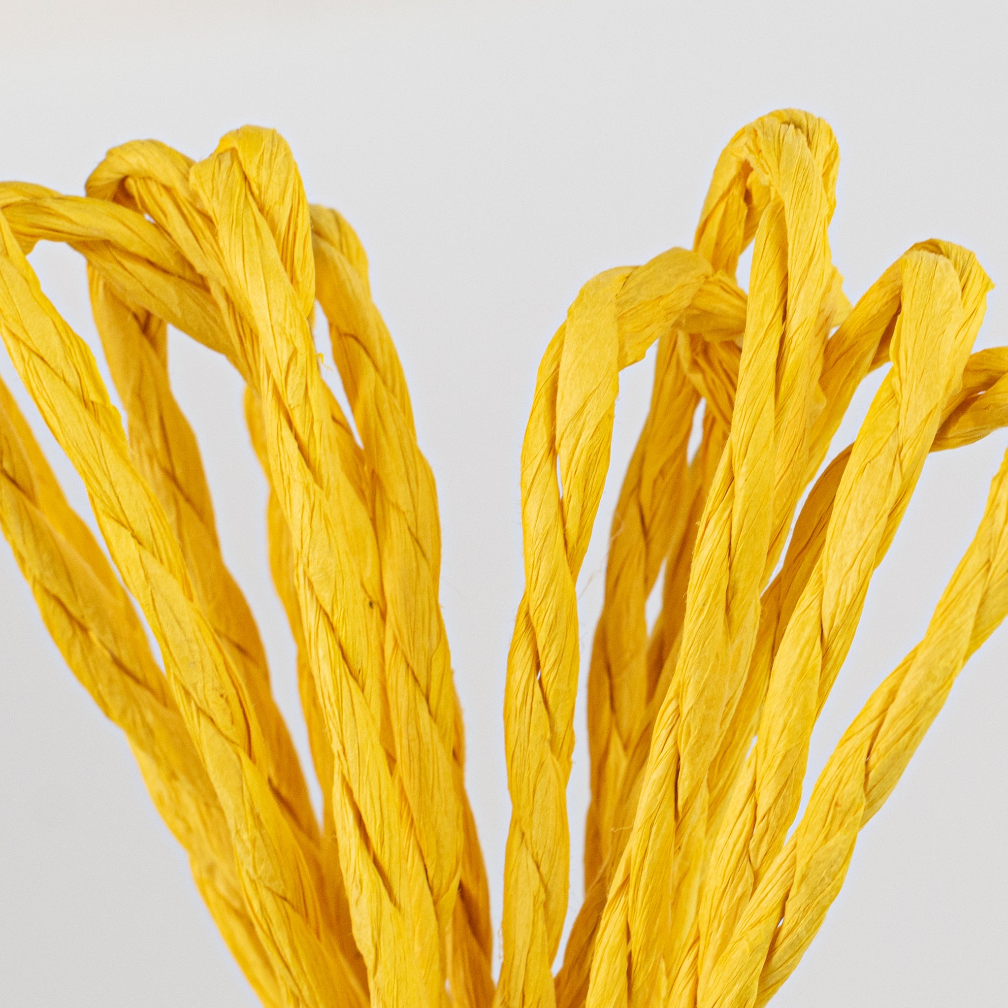 16' Paper Rope Bundle: Yellow detail photo 3