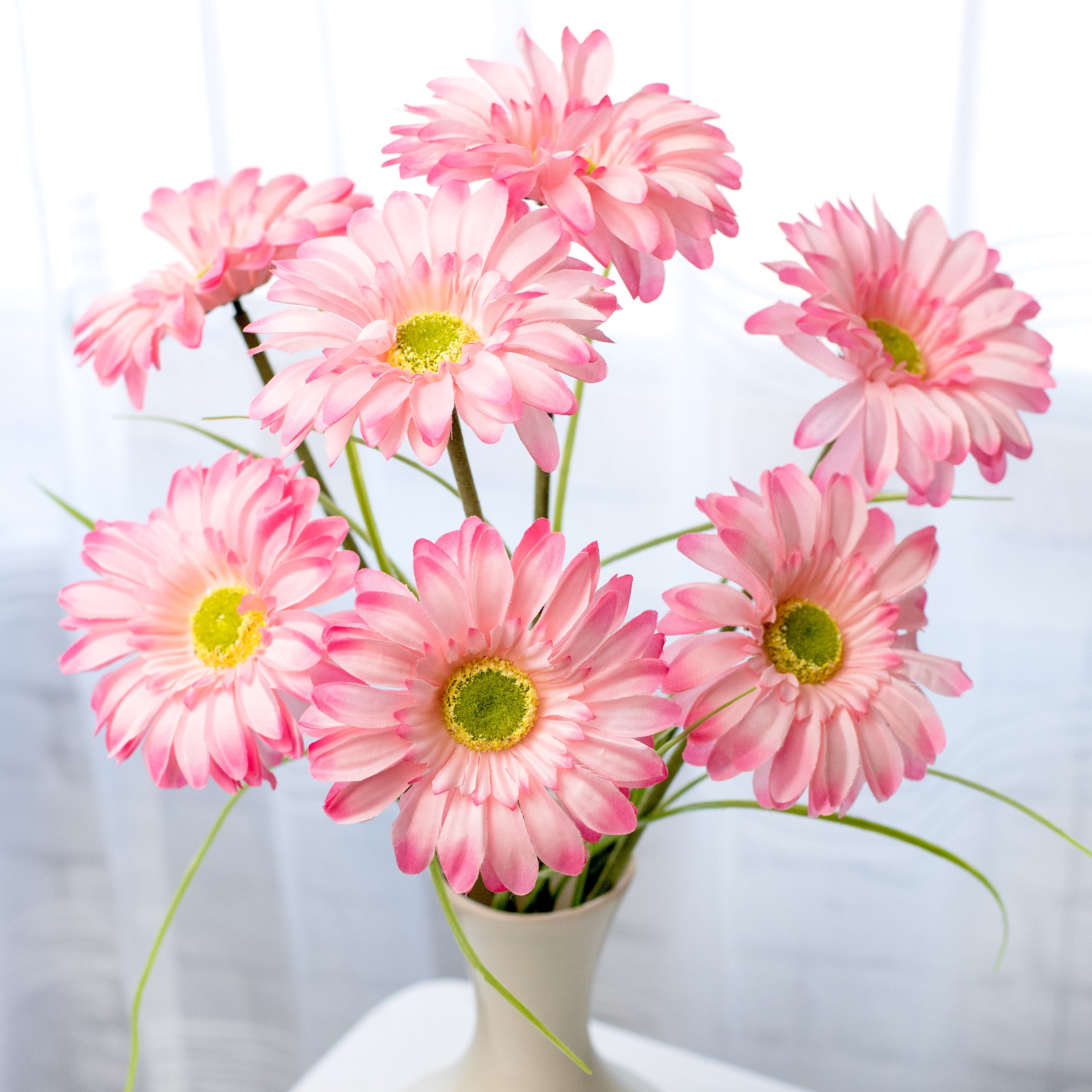 paris-daisy-bush-pink-30472pk.