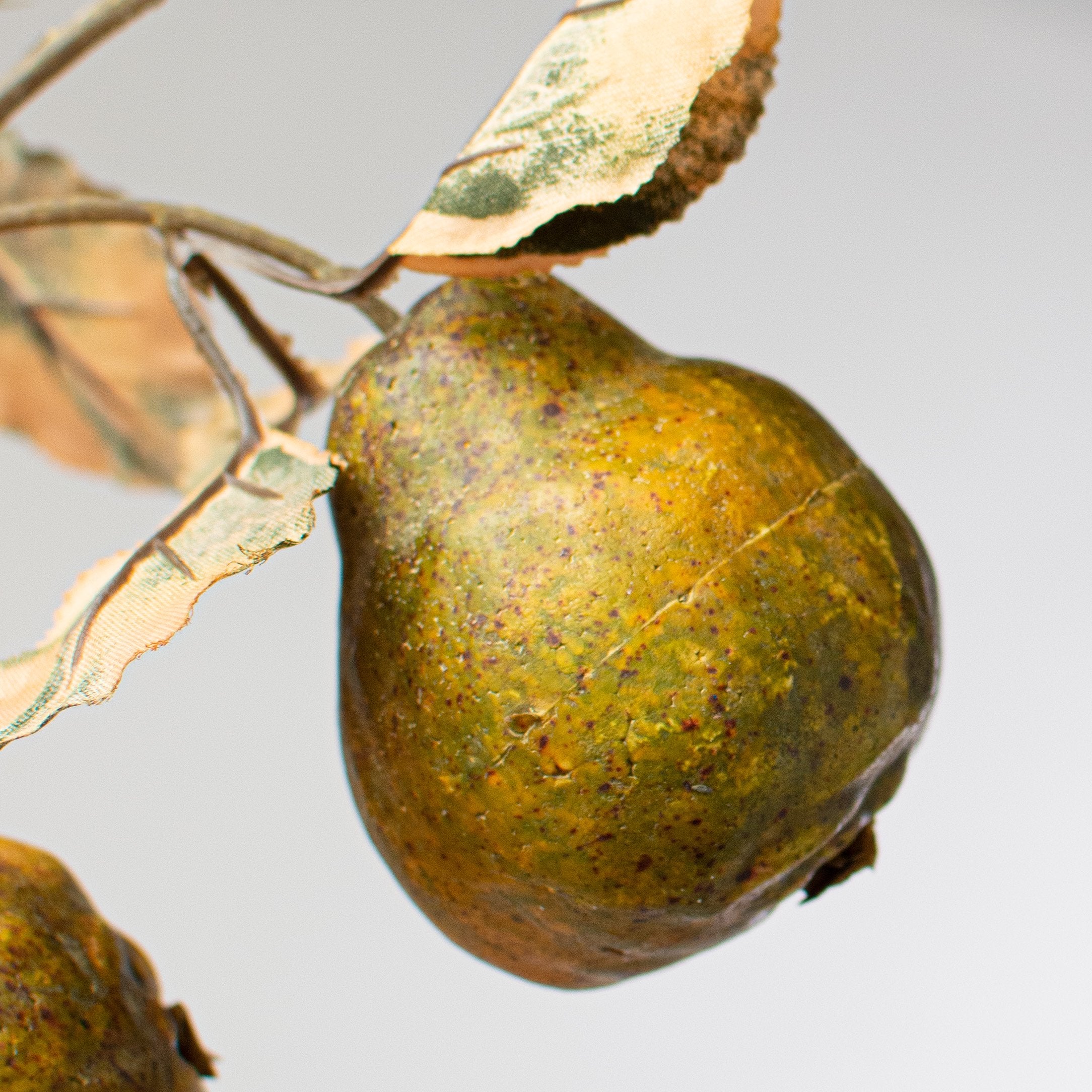 37" Pear & Leaves Spray Lifestyle Photo