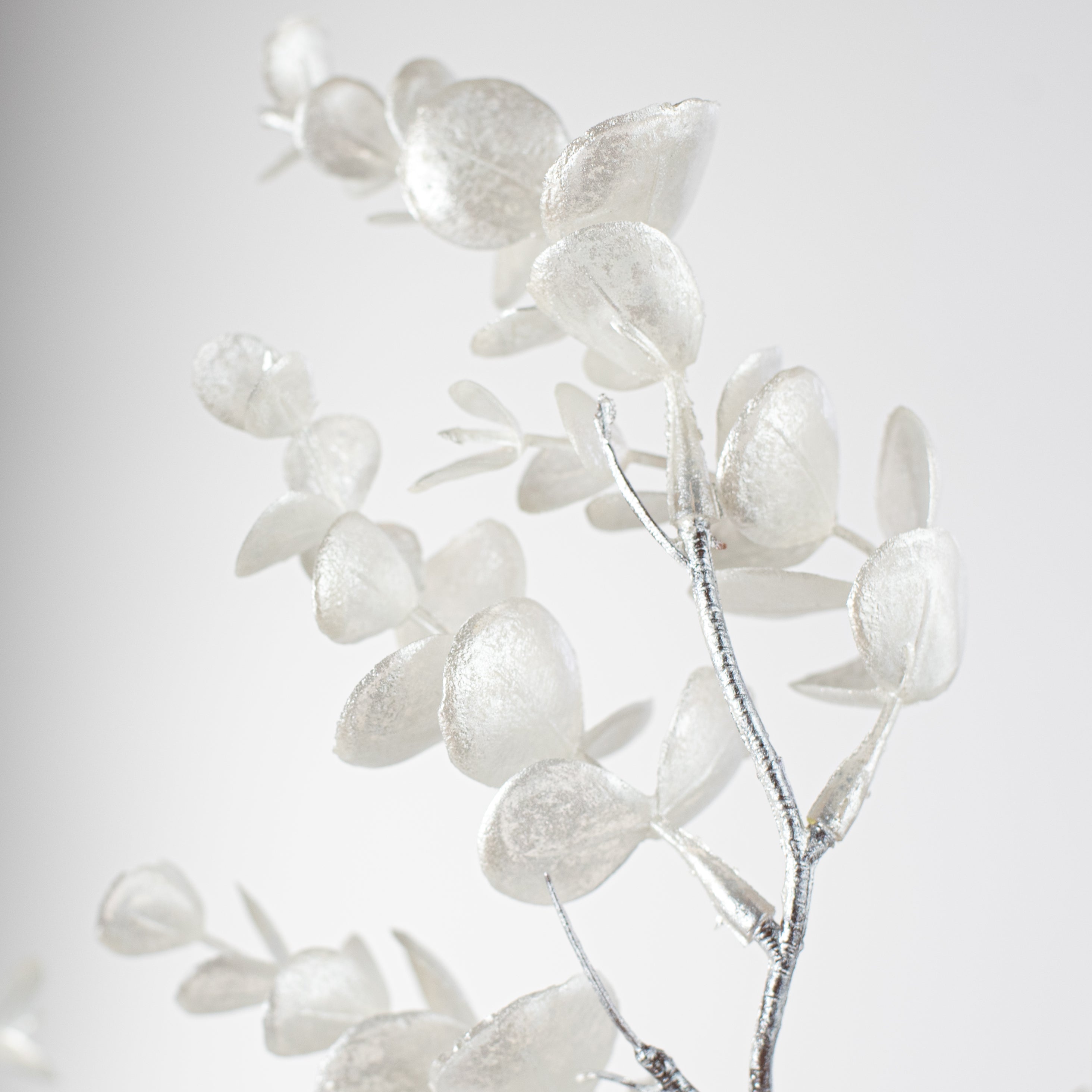 25" Pearl Eucalyptus Spray: White Lifestyle Photo