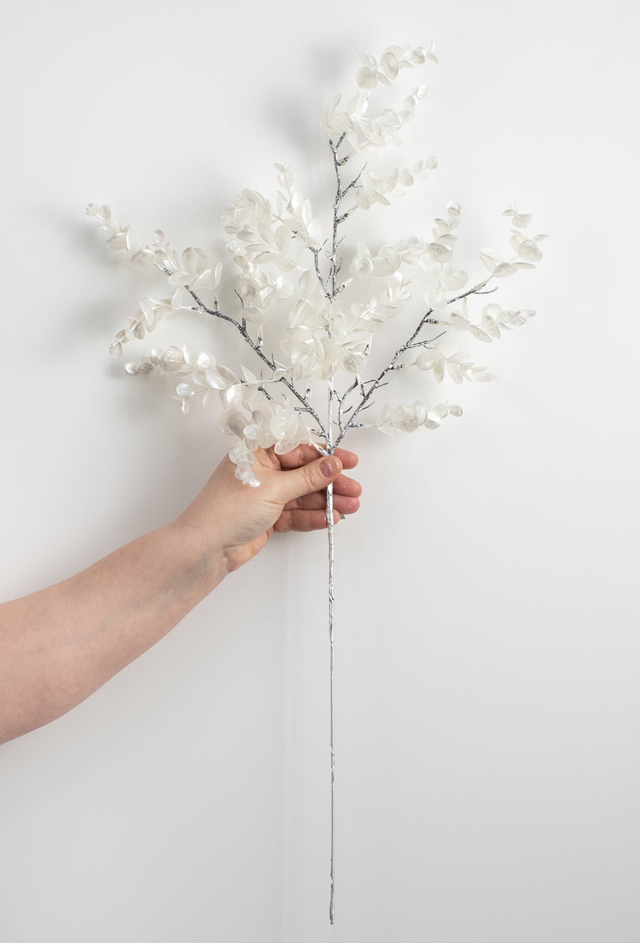25" Pearl Eucalyptus Spray: White detail photo 3