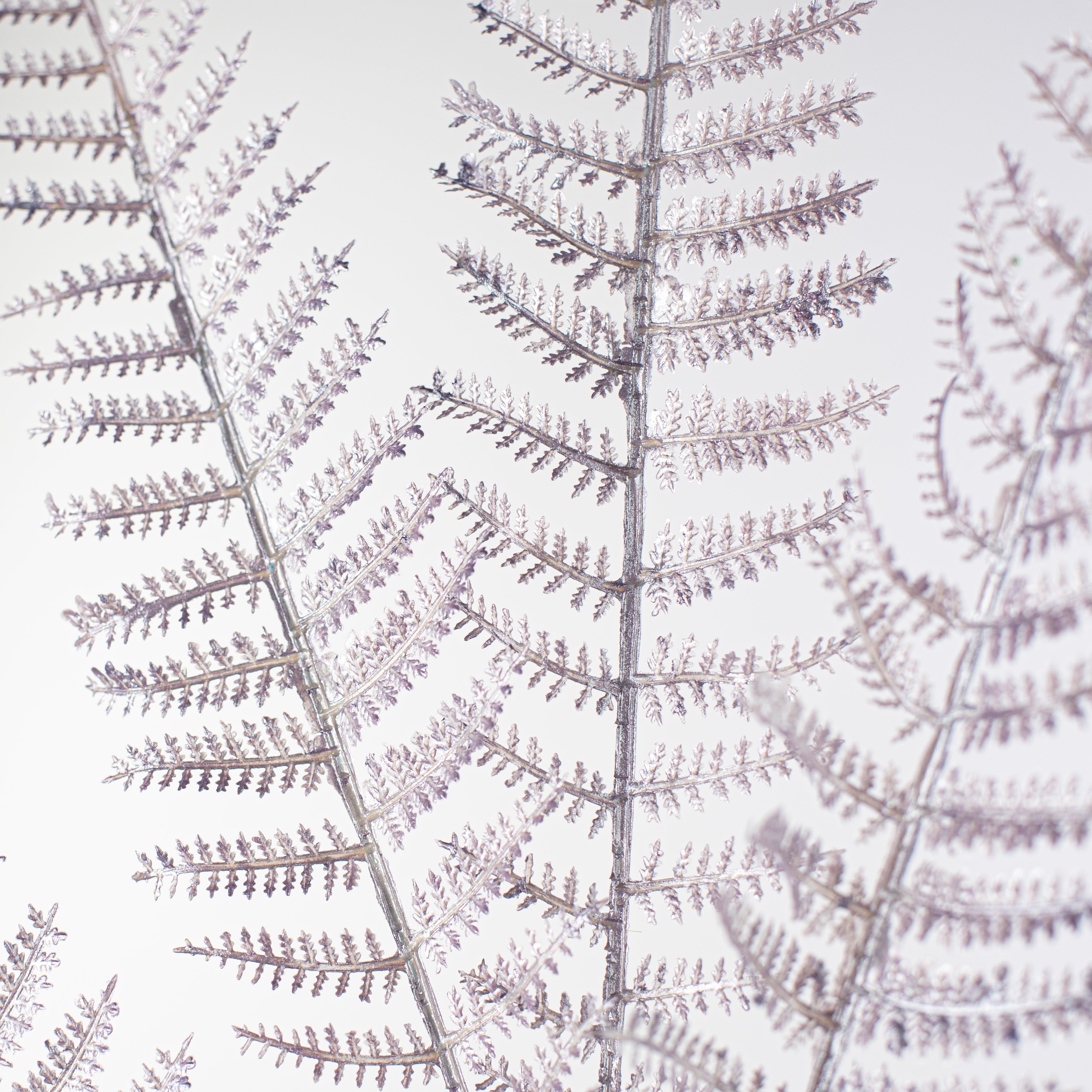 28" Pearl Fern Spray: Lavender Lifestyle Photo
