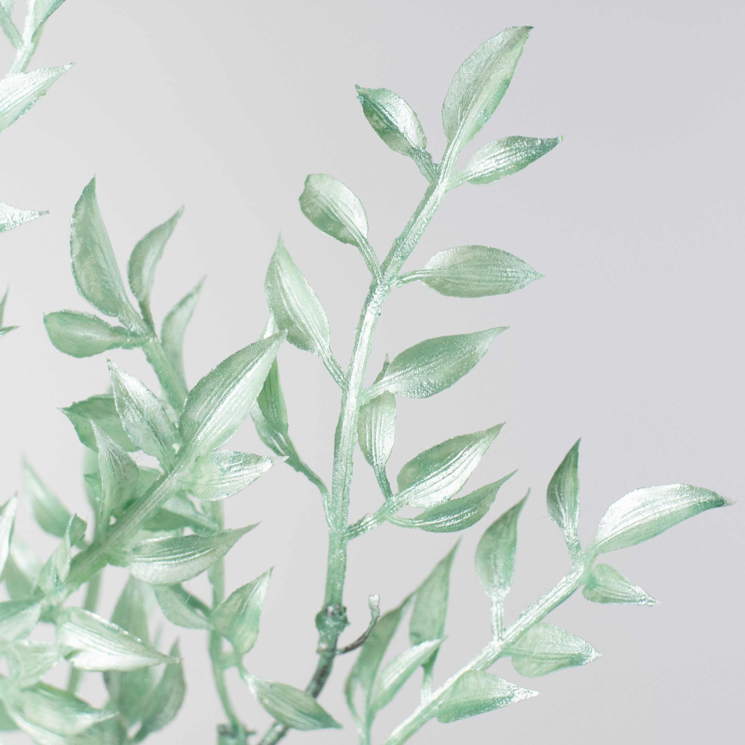 25" Pearl Ruscus Spray: Mint Lifestyle Photo
