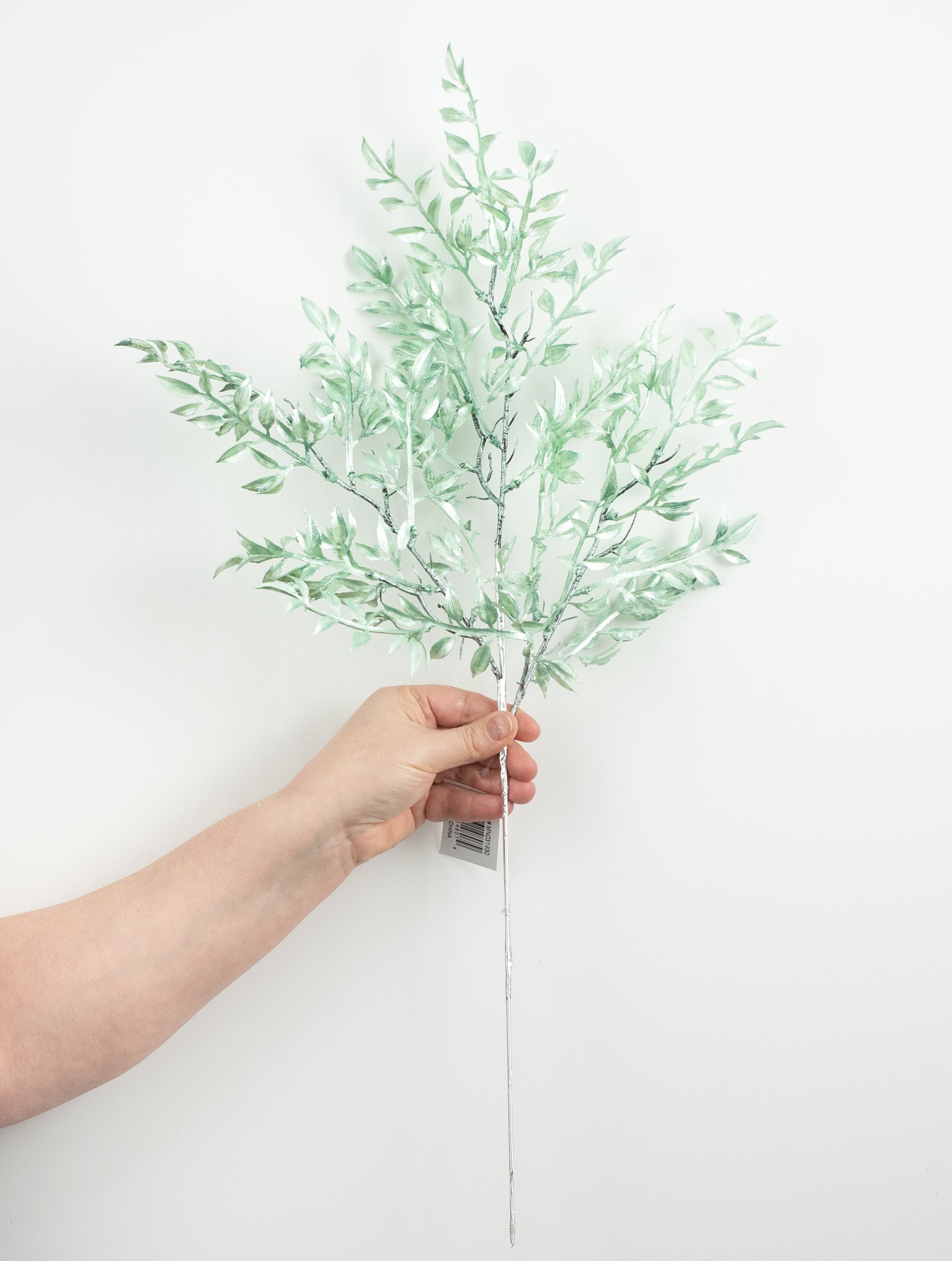 25" Pearl Ruscus Spray: Mint detail photo 3