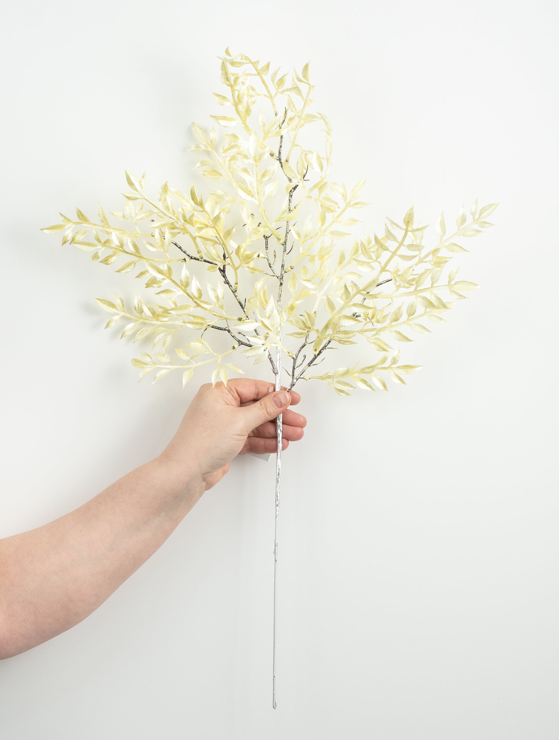 25" Pearl Ruscus Spray: Yellow detail photo 3