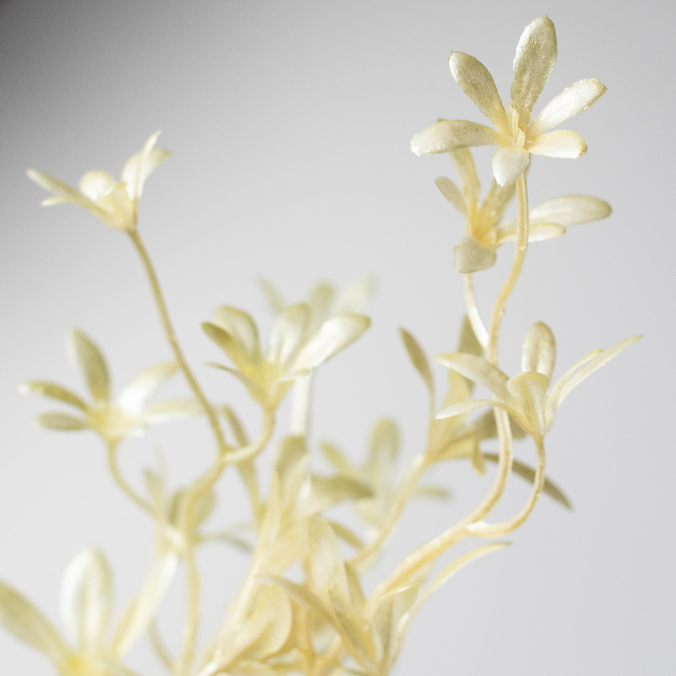 26" Pearl Tweedia Spray: Yellow detail photo 4