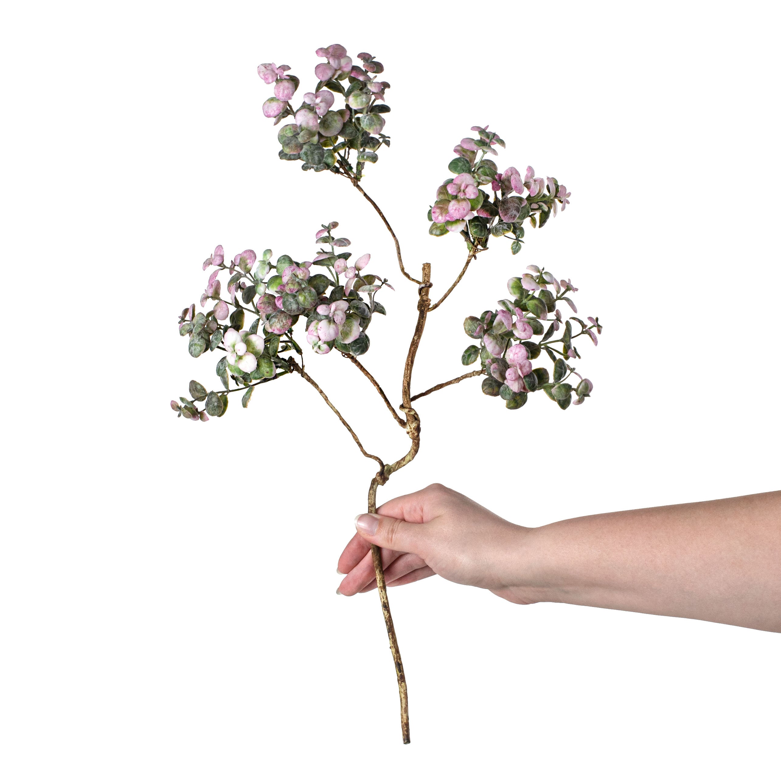 19" Pebble Eucalyptus Spray: Frosted Green & Pink detail photo 3