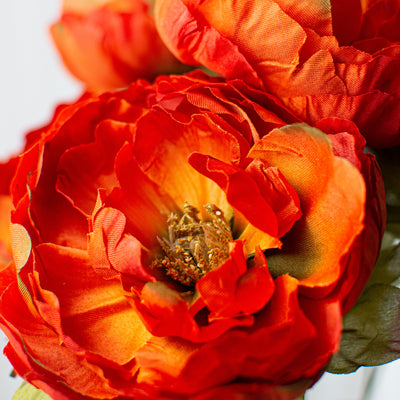 20" Peony Bush: Copper Orange Lifestyle Photo