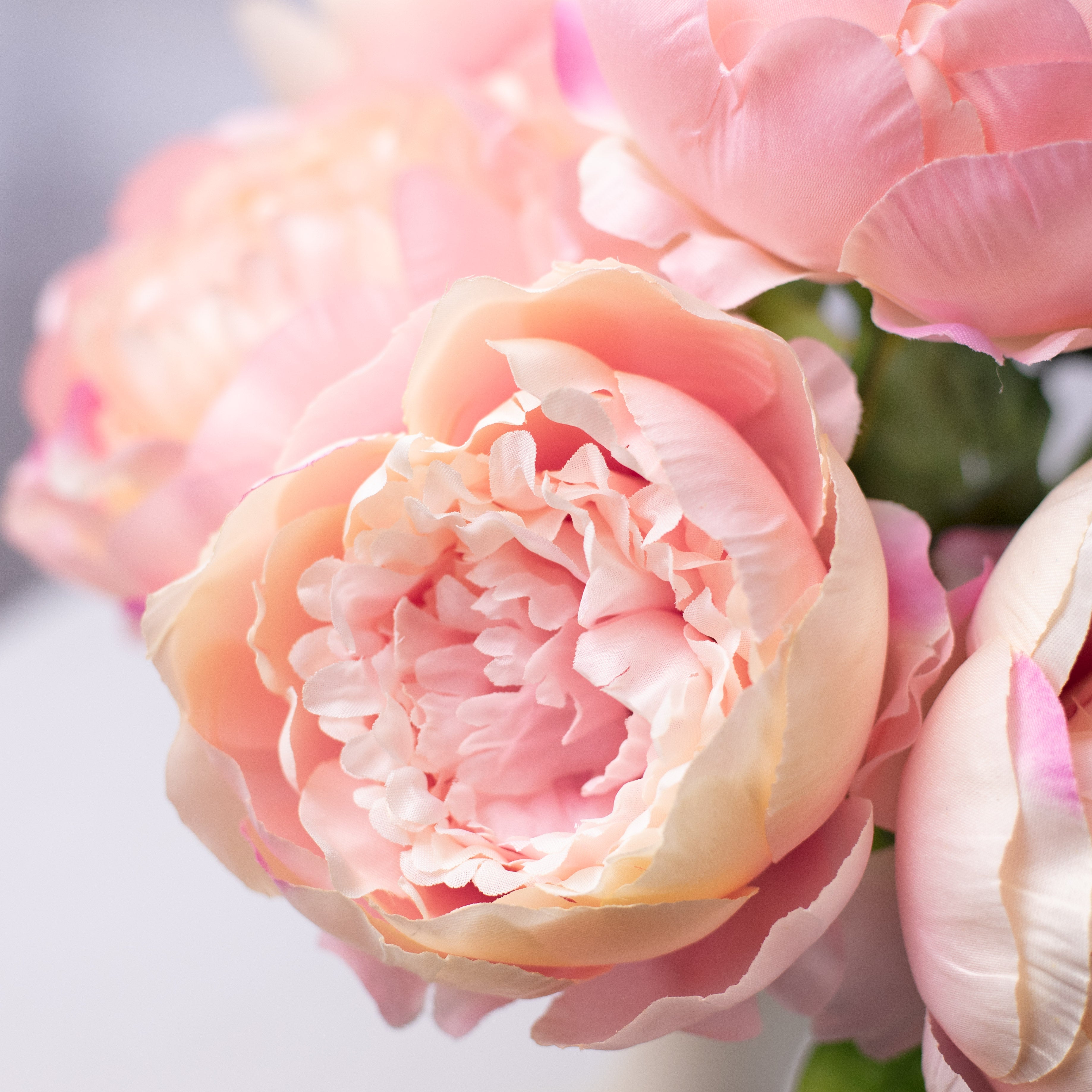 22" Peony Bush (7): Pink detail photo 3