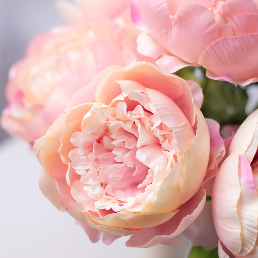 22" Peony Bush (7): Pink detail photo 3