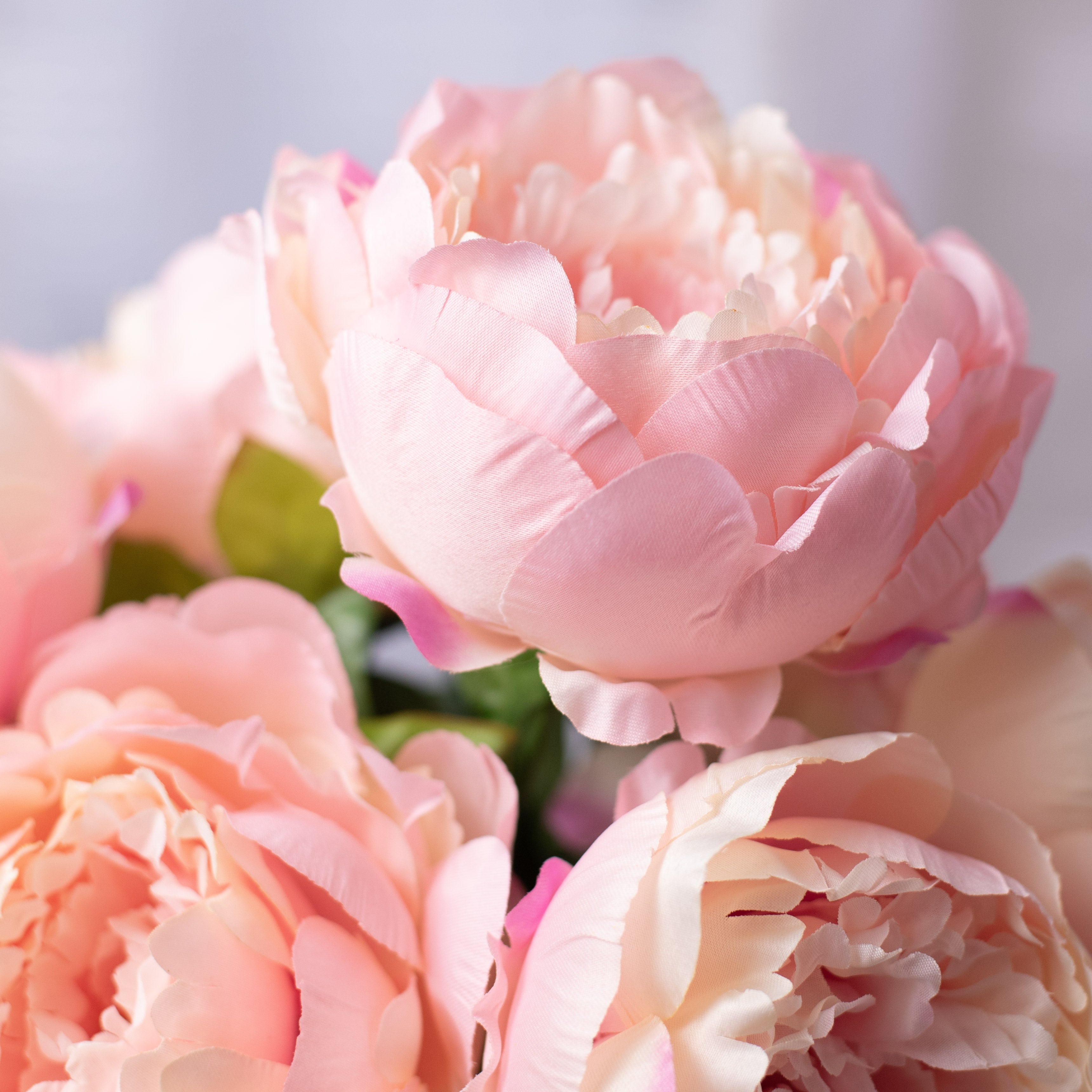 22" Peony Bush (7): Pink detail photo 4