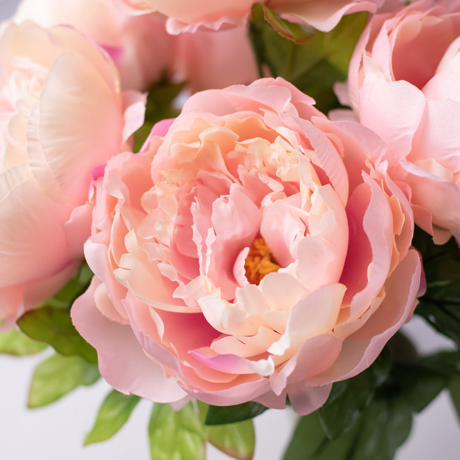 22" Peony Bush (7): Pink detail photo 5