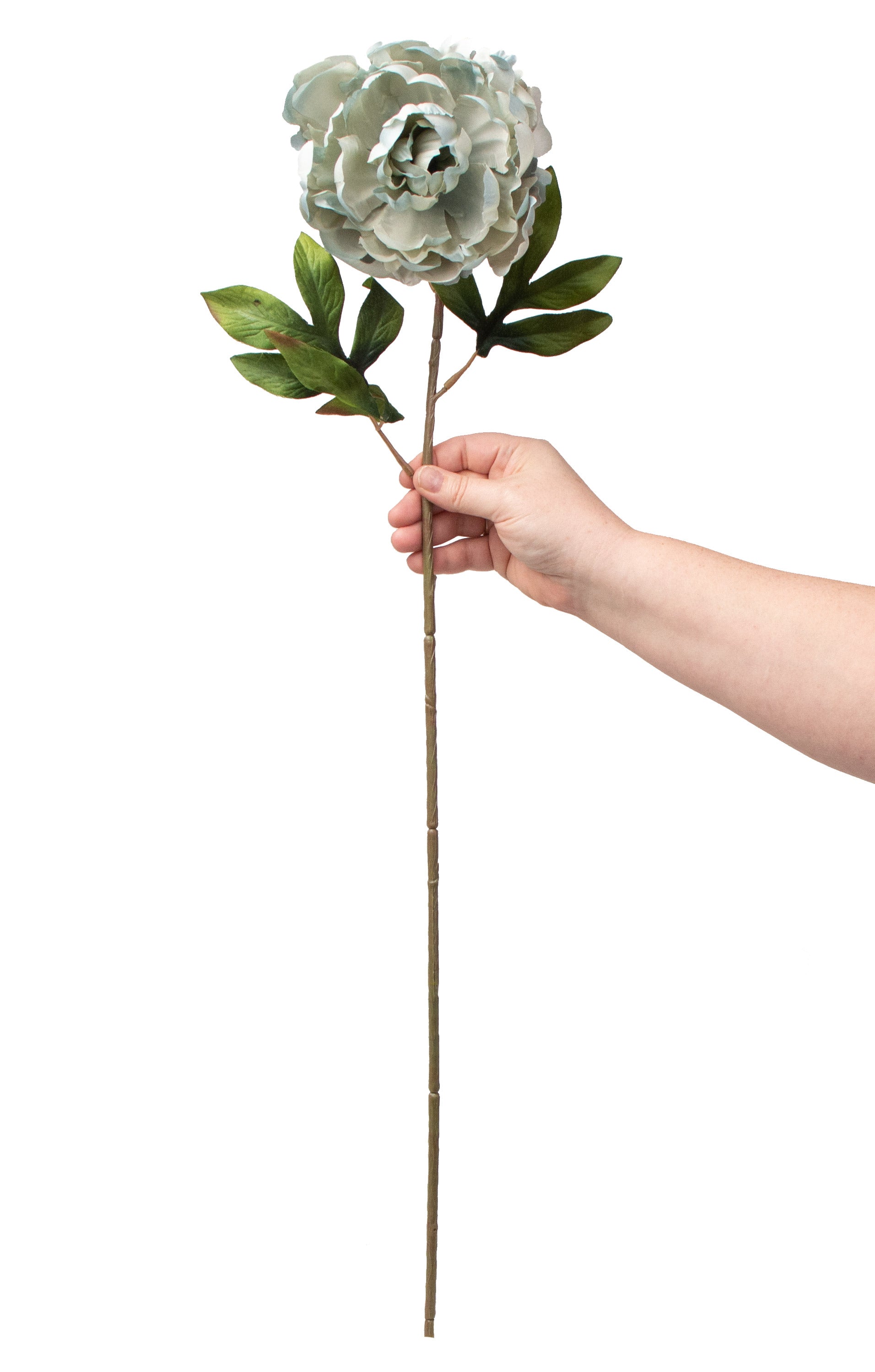 30" Peony Stem: Dusty Blue detail photo 3