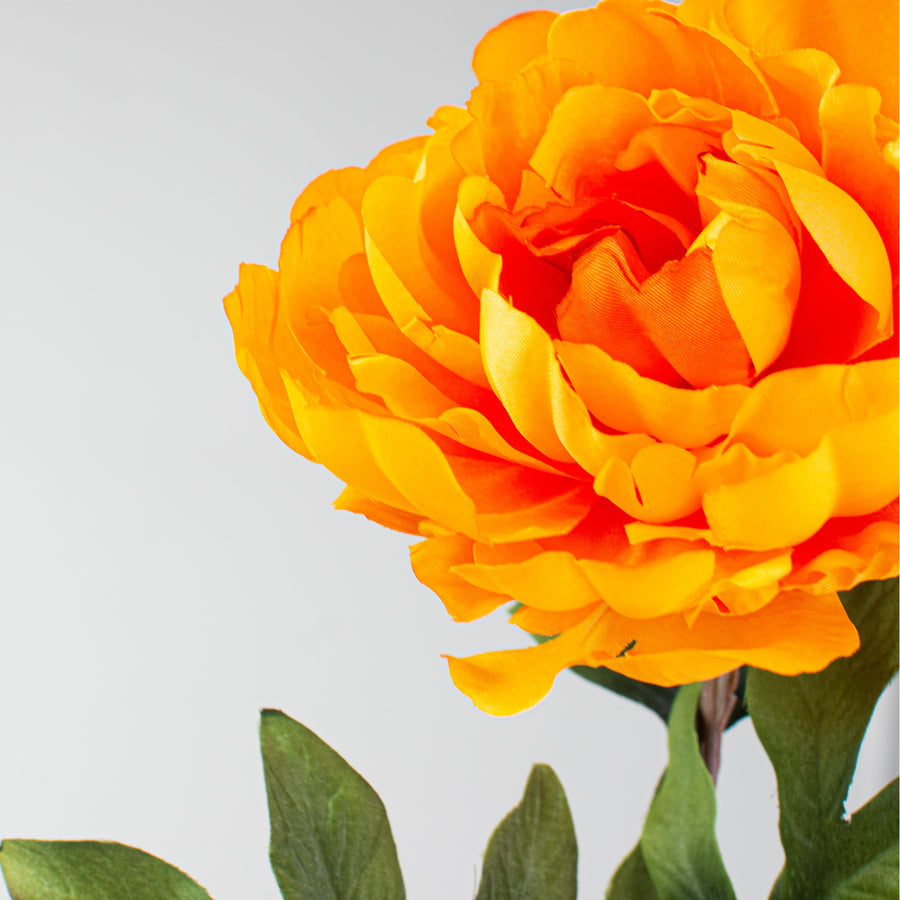 30" Peony Stem: Golden Yellow Lifestyle Photo