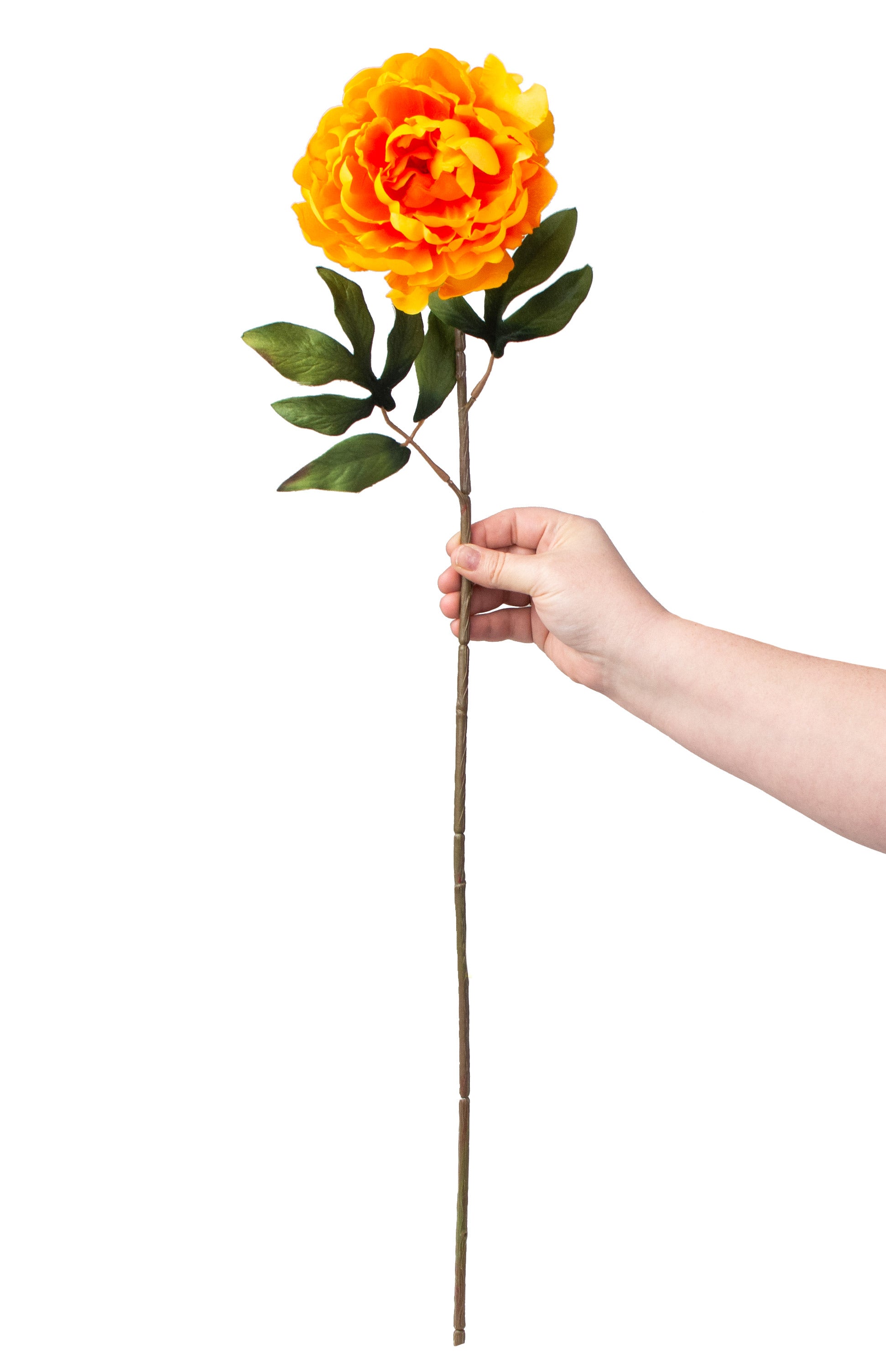 30" Peony Stem: Golden Yellow detail photo 3