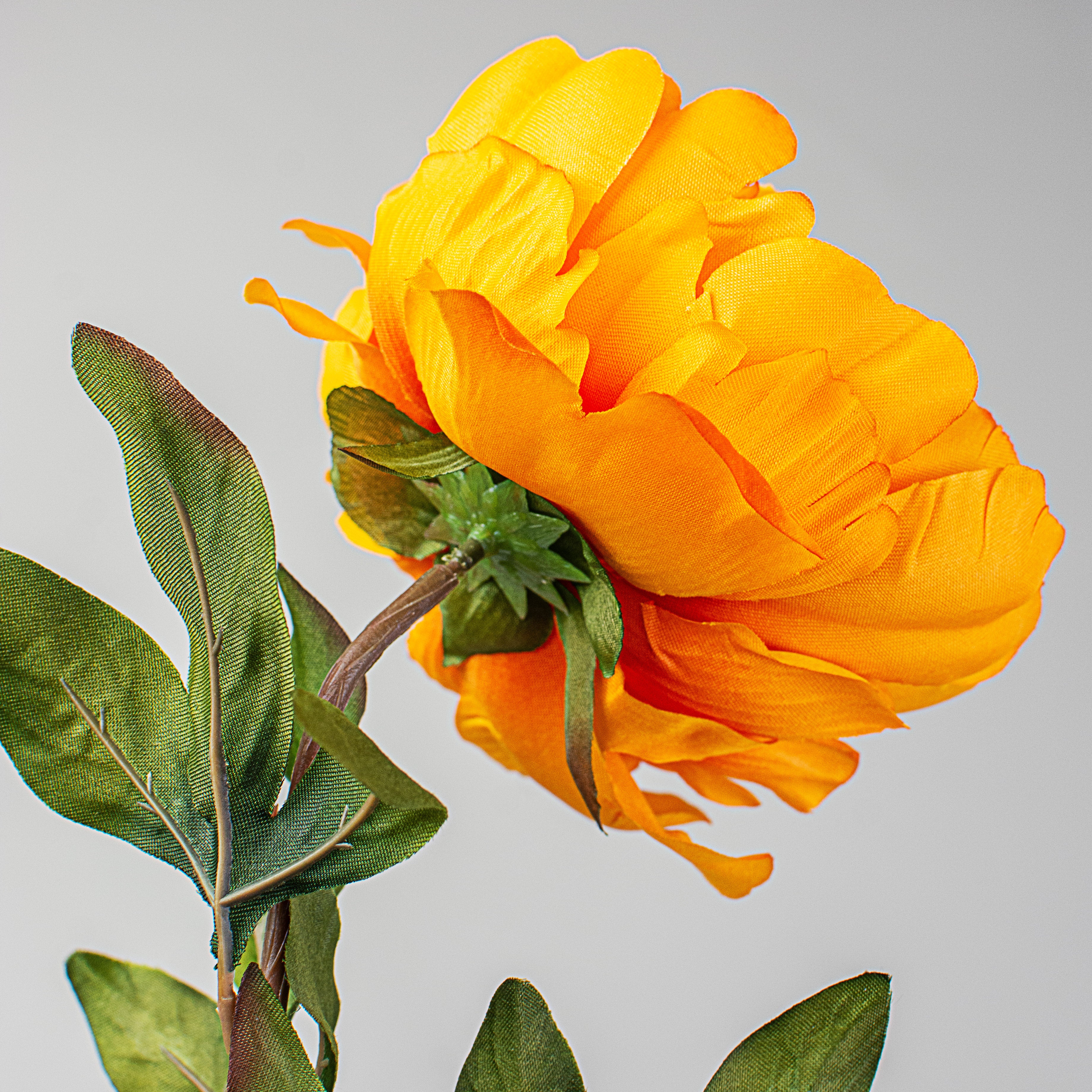 30" Peony Stem: Golden Yellow detail photo 4